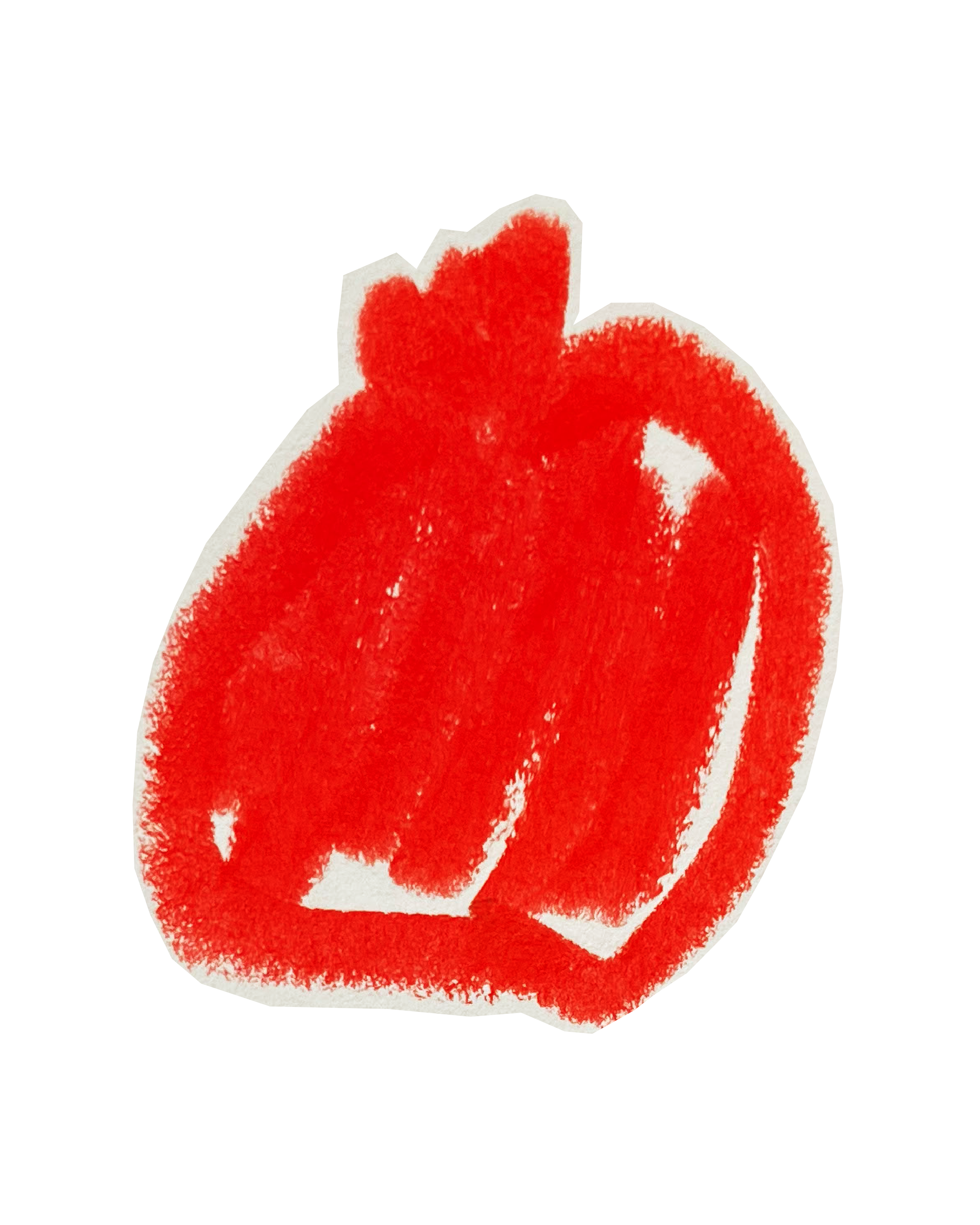 Illustrations of pomegranate in red acrylic flank Lara Sheehi’s comrades.