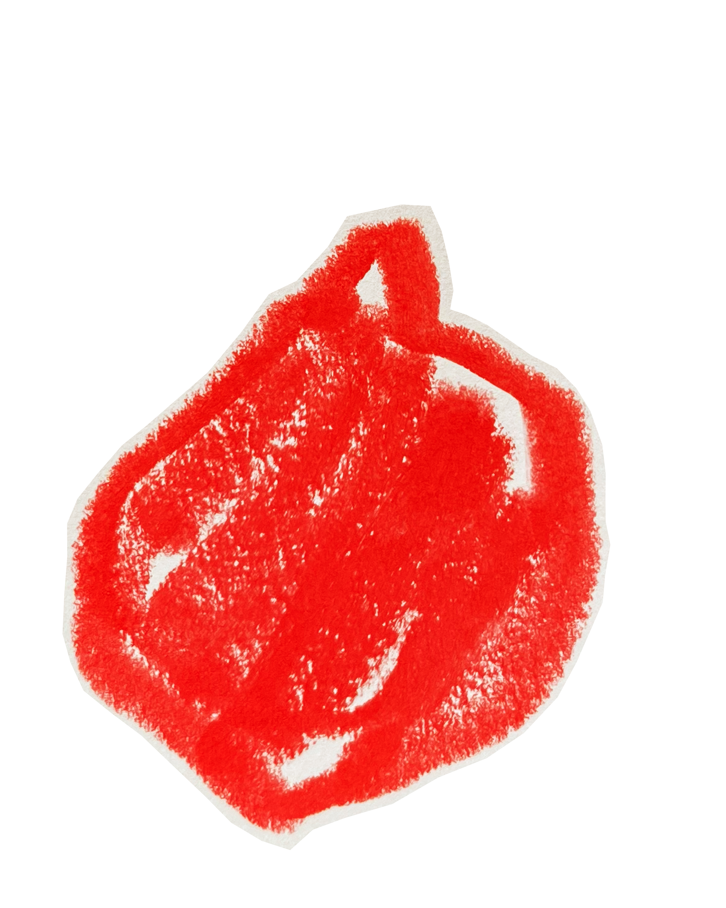 Illustrations of pomegranate in red acrylic flank Lara Sheehi’s comrades.