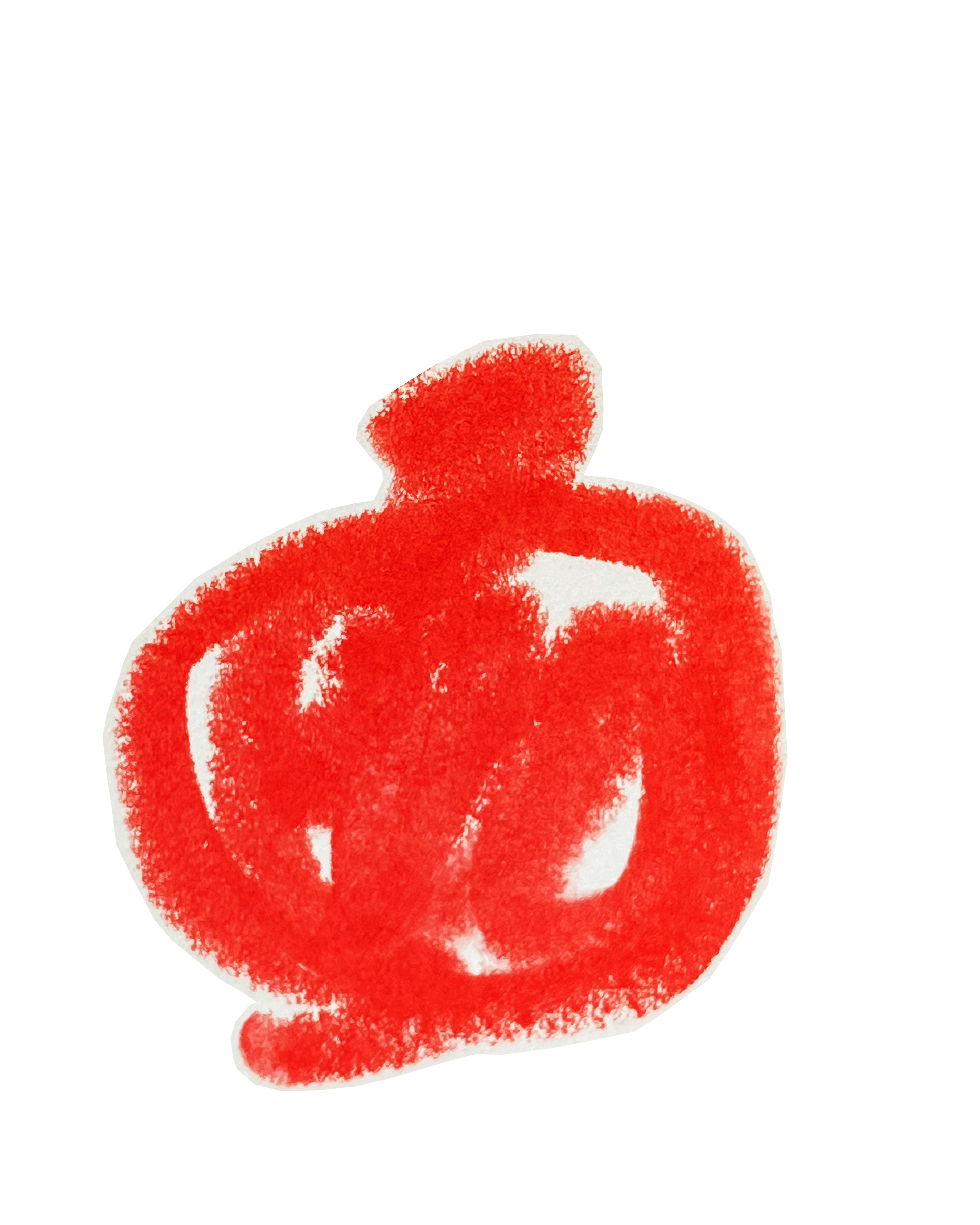 Illustrations of pomegranate in red acrylic flank Lara Sheehi’s contact form.