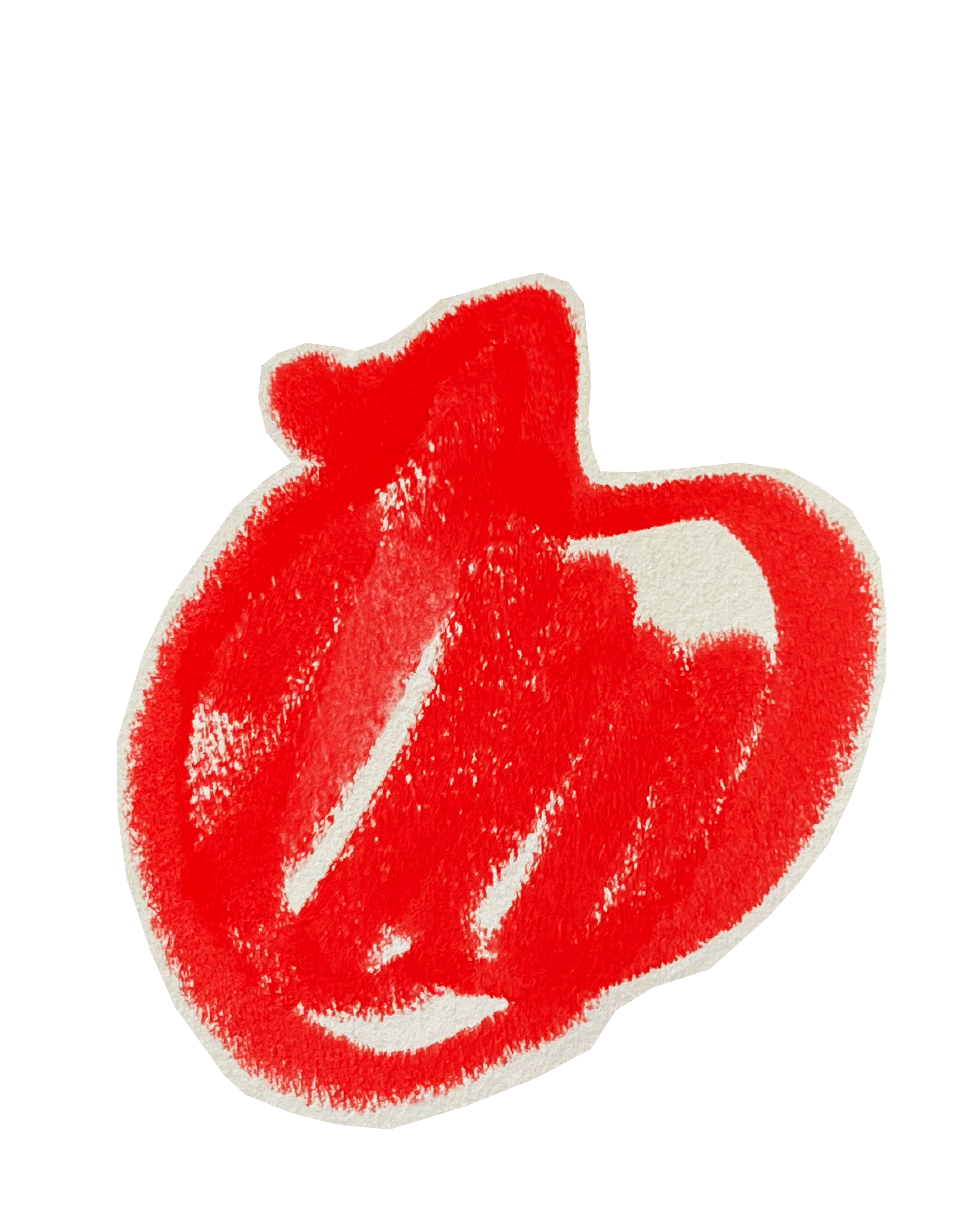 Illustrations of pomegranate in red acrylic flank Lara Sheehi’s contact form.