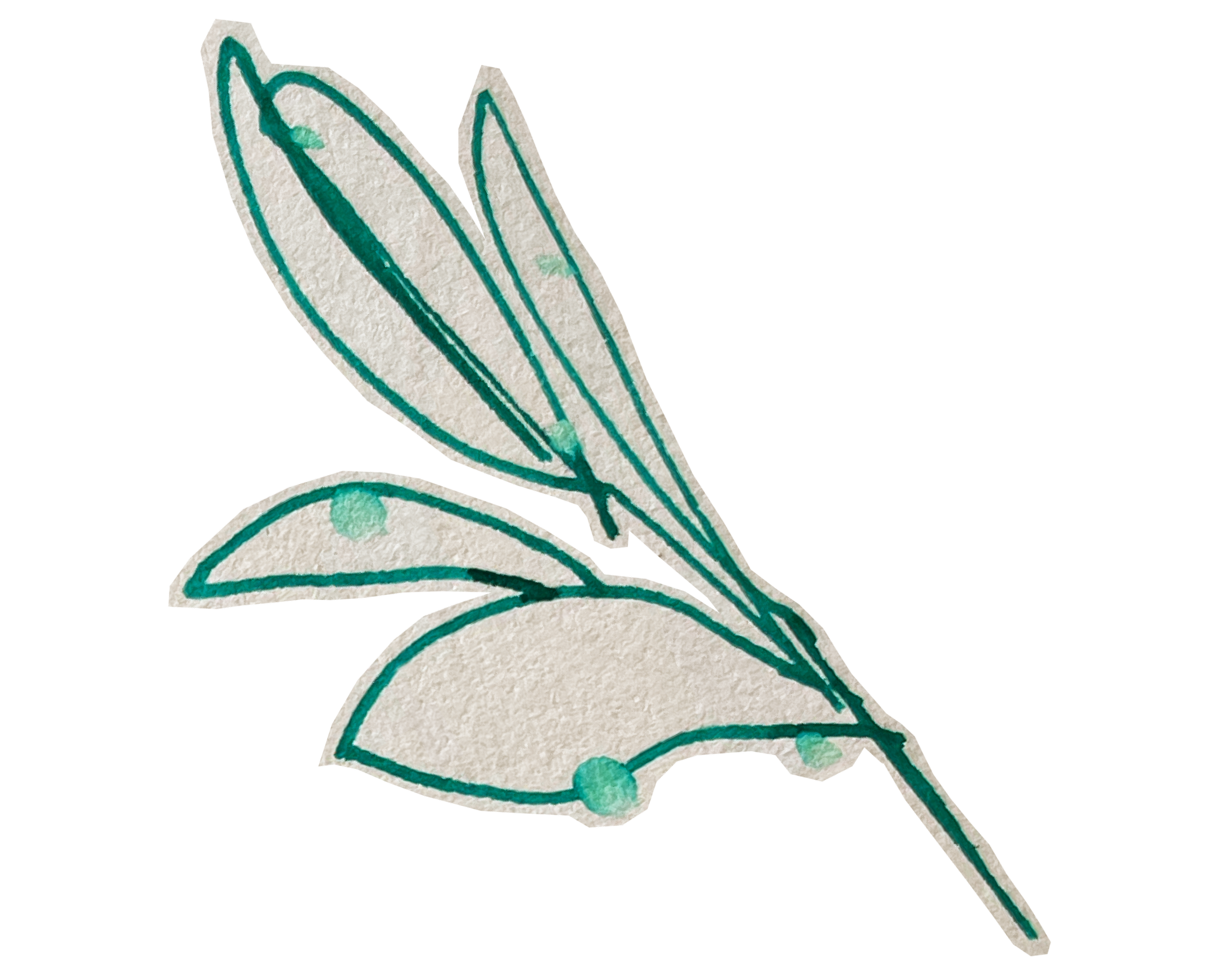 Illustration detail of an olive branch. Green pen, interrupted by droplets of rain, adorn Lara Sheehi’s patreon.