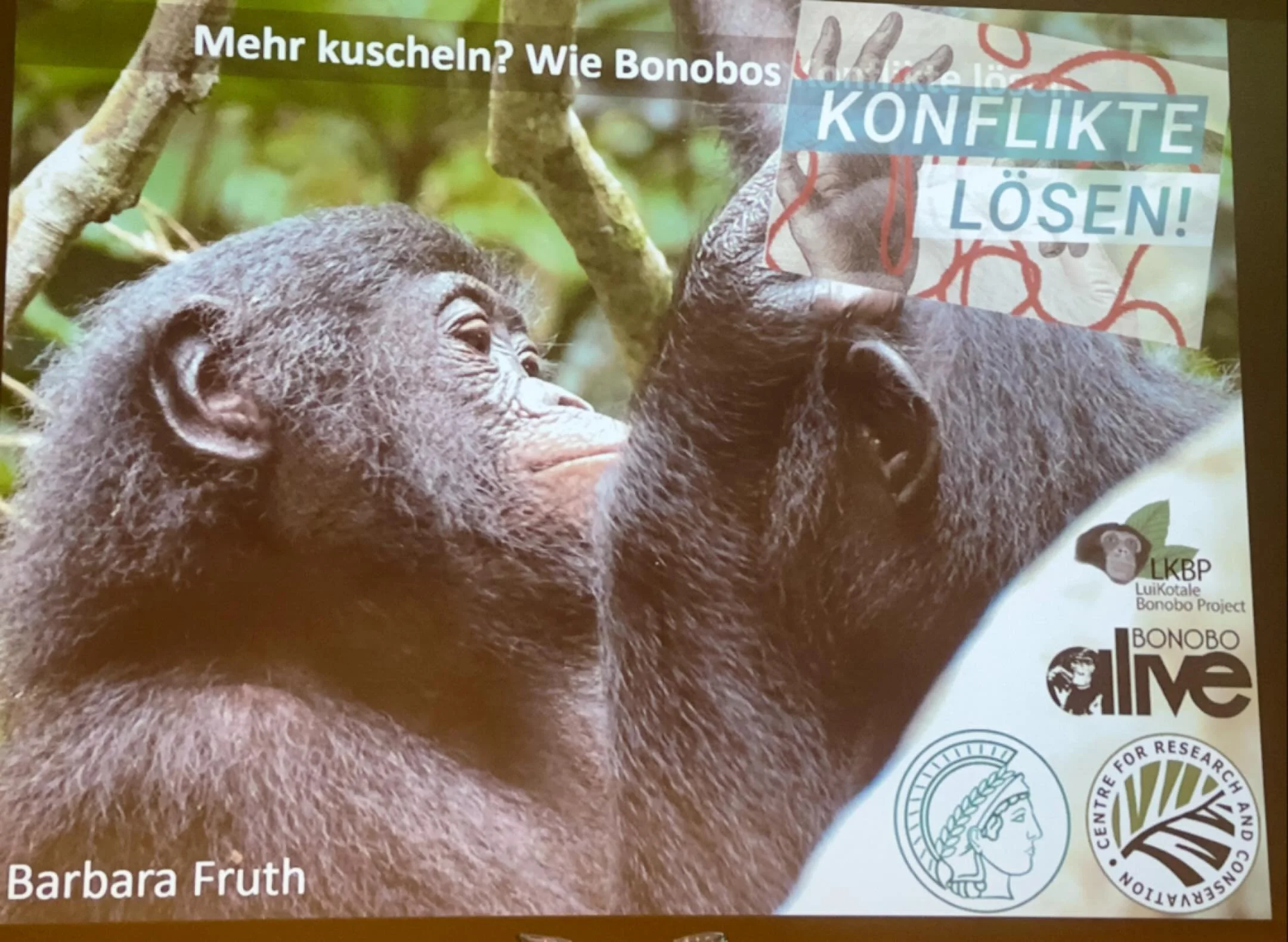 Am Samstag war ich bei einem Vortrag an der Akademie der Wissenschaften zu Bonobos.

Thema: Konflikte l&ouml;sen.

Diese Affen l&ouml;sen Konflikte nicht durch Dominanz.

Sondern durch N&auml;he.
Durch Fellpflege.
Durch k&ouml;rperliche Verbindung.

