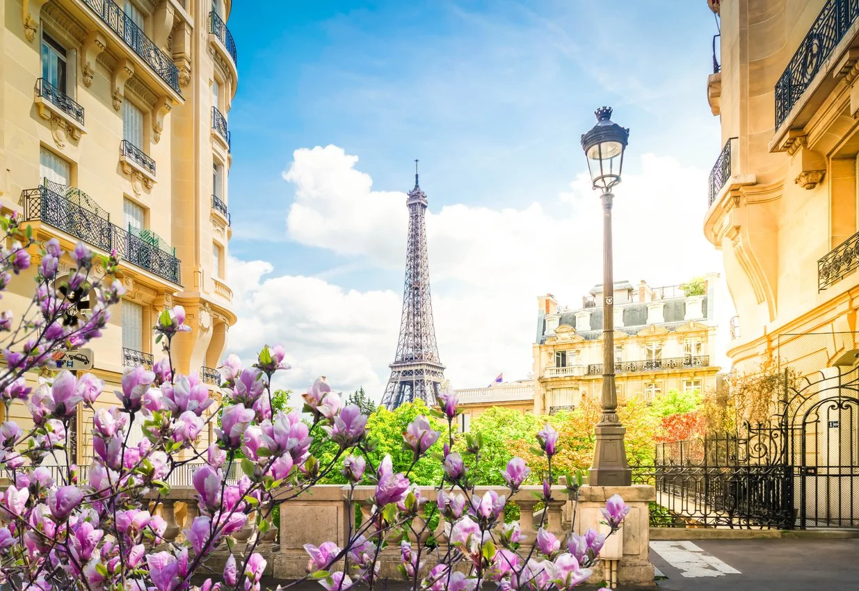 A picture of Paris in spring with the Eiffel Tower in the background.