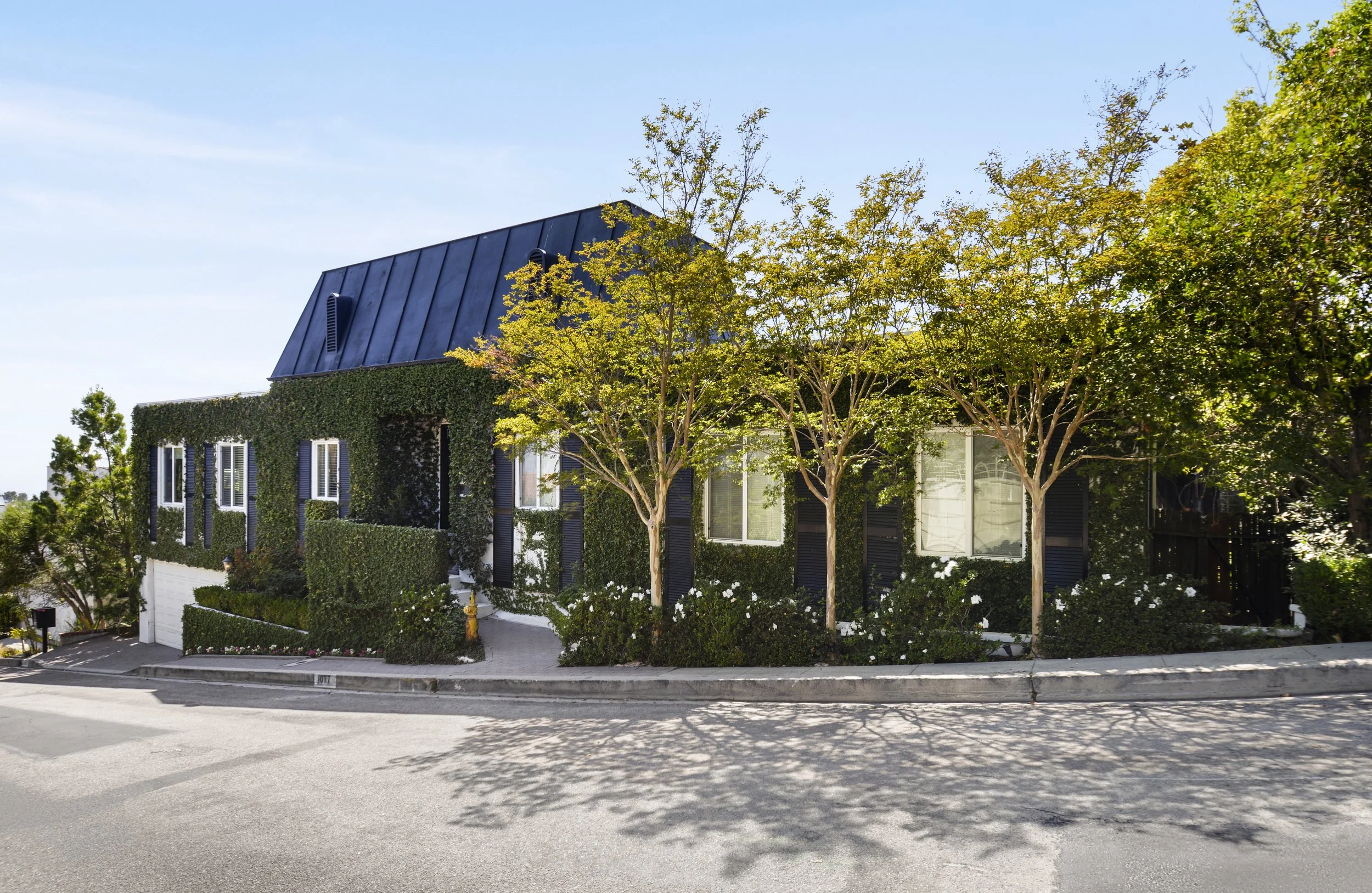 Modern house with ivy-covered walls, surrounded by trees and shrubbery, with a clear blue sky overhead.