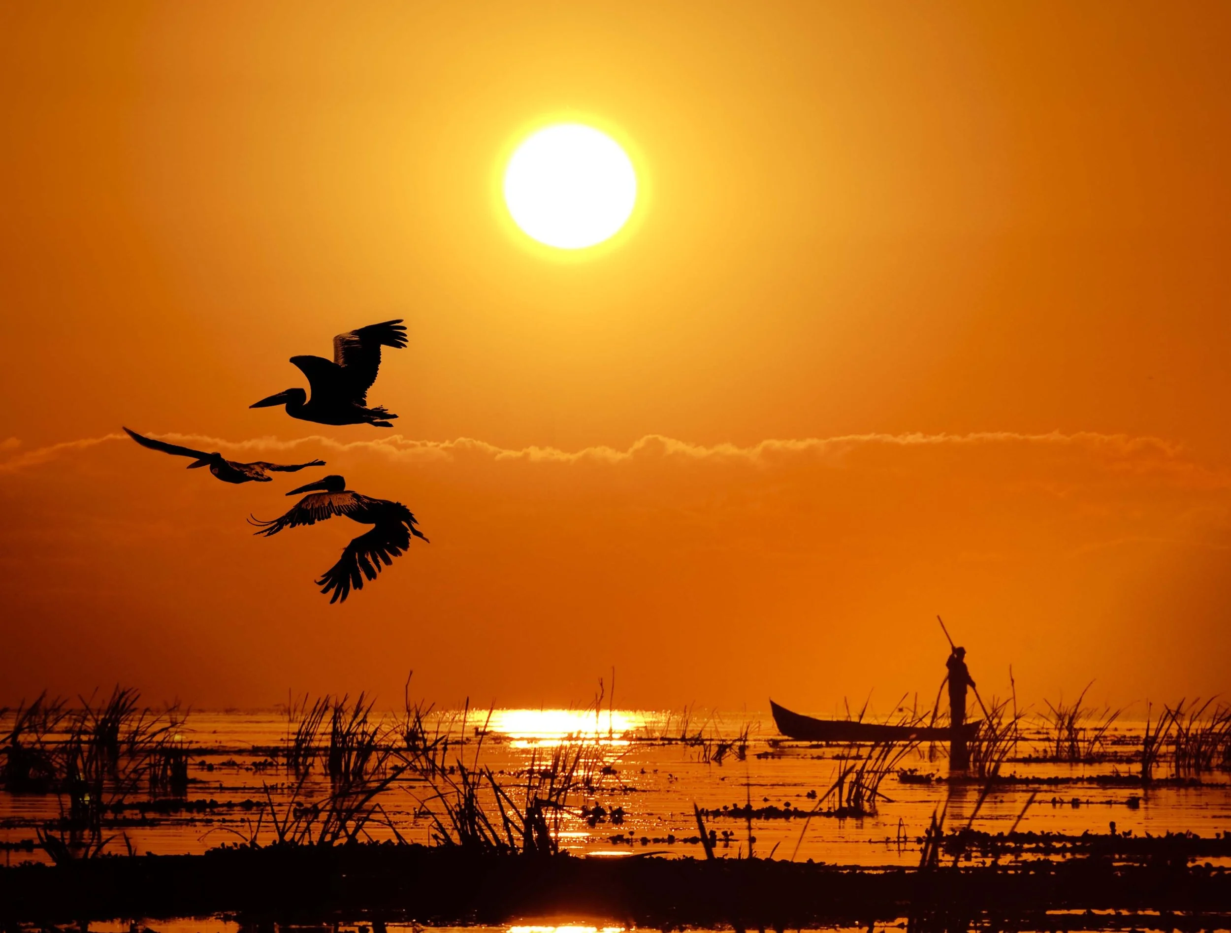 Carpathian Wildlife Safari: