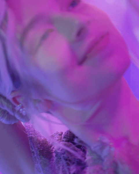 Domenica Agostino Leibowitz - Euphoria - Hunter Schafer.gif