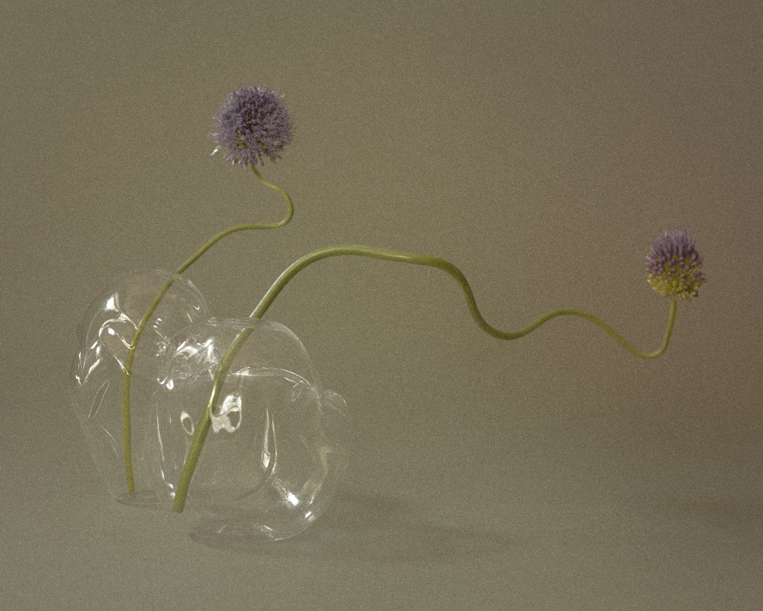 Domenica Agostino Leibowitz - Glass Objects & Florals 4.JPG