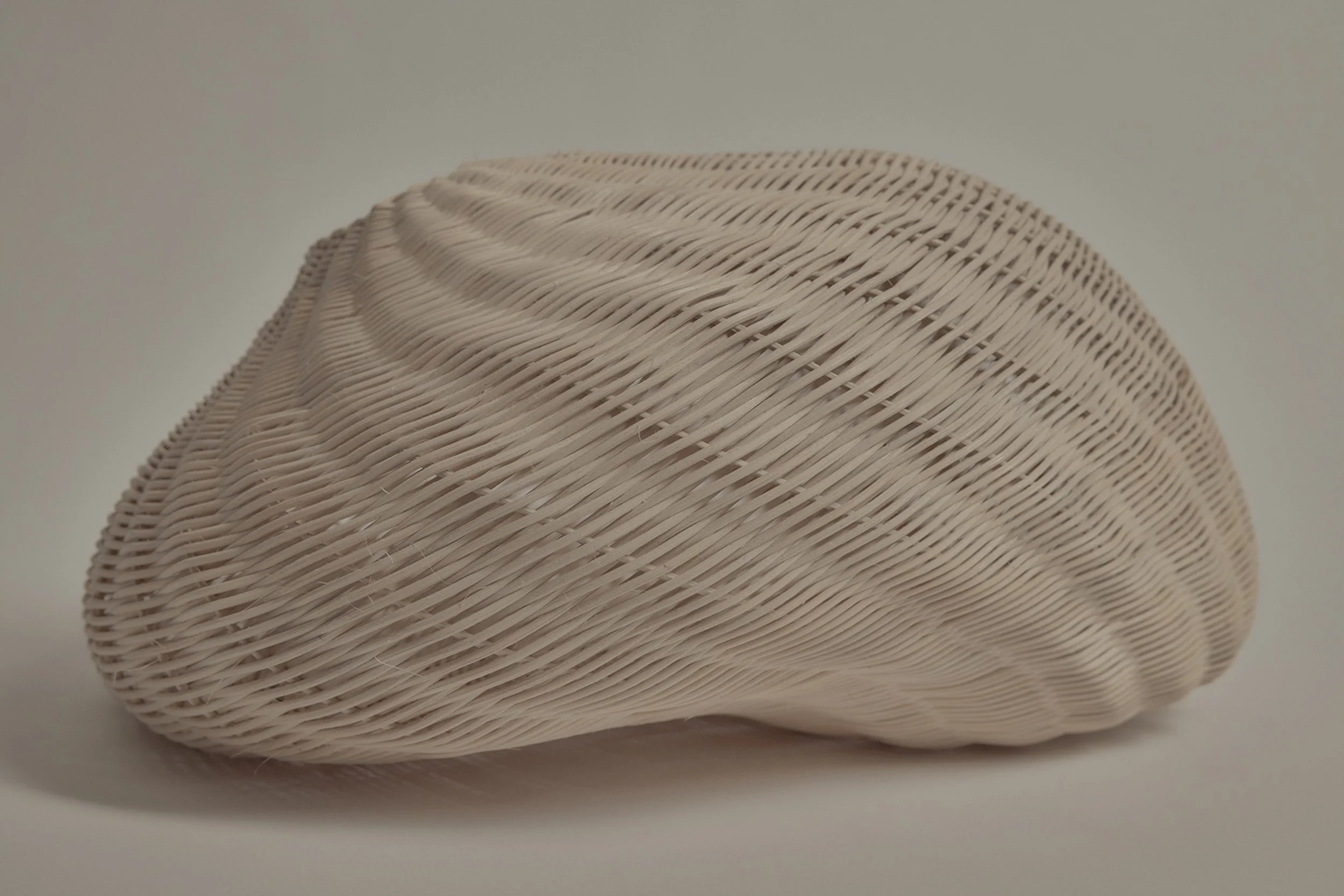 Domenica Agostino Leibowitz Basket 1.JPG