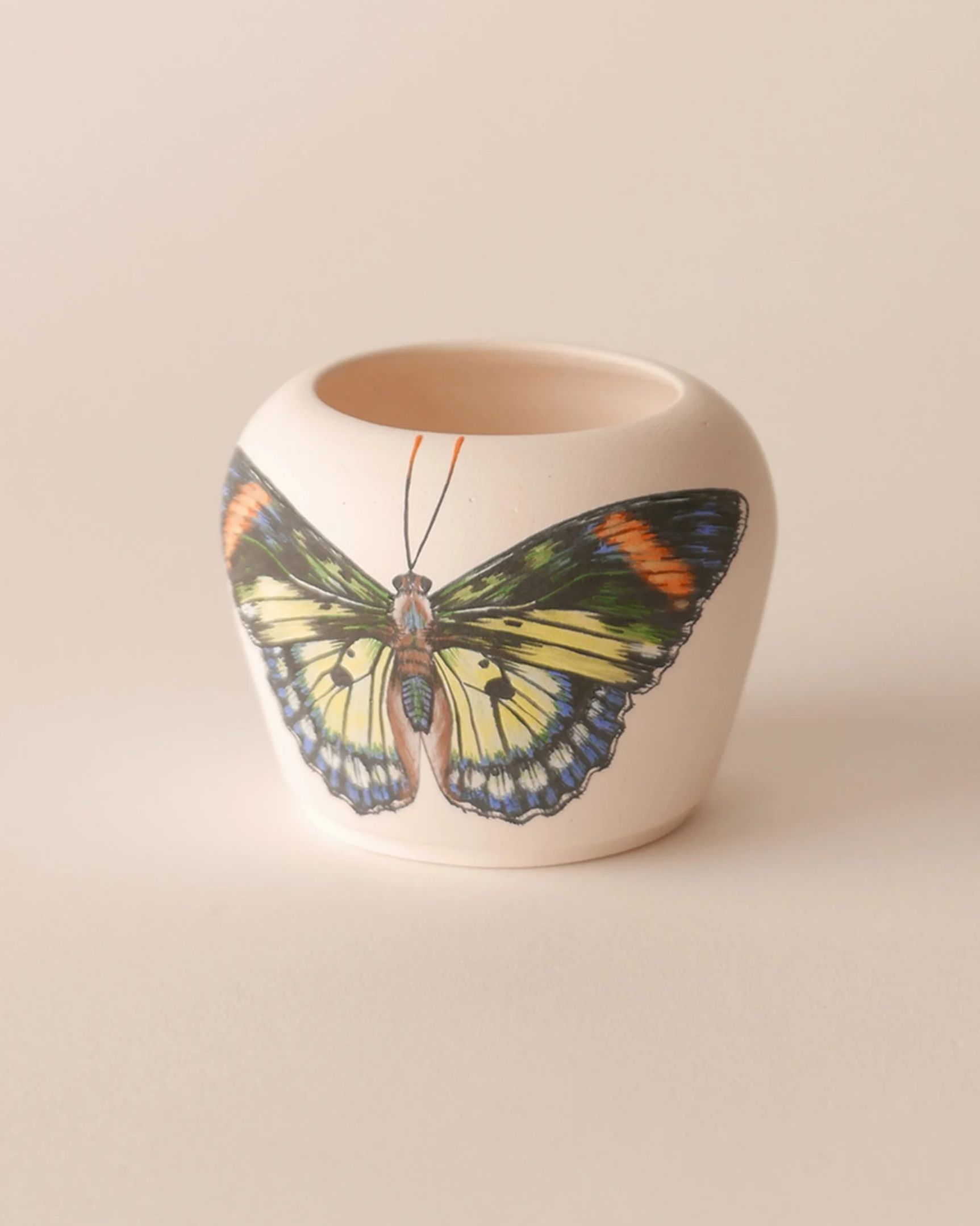 Domencia Agostino Leibowitz Fine Art 5.png
