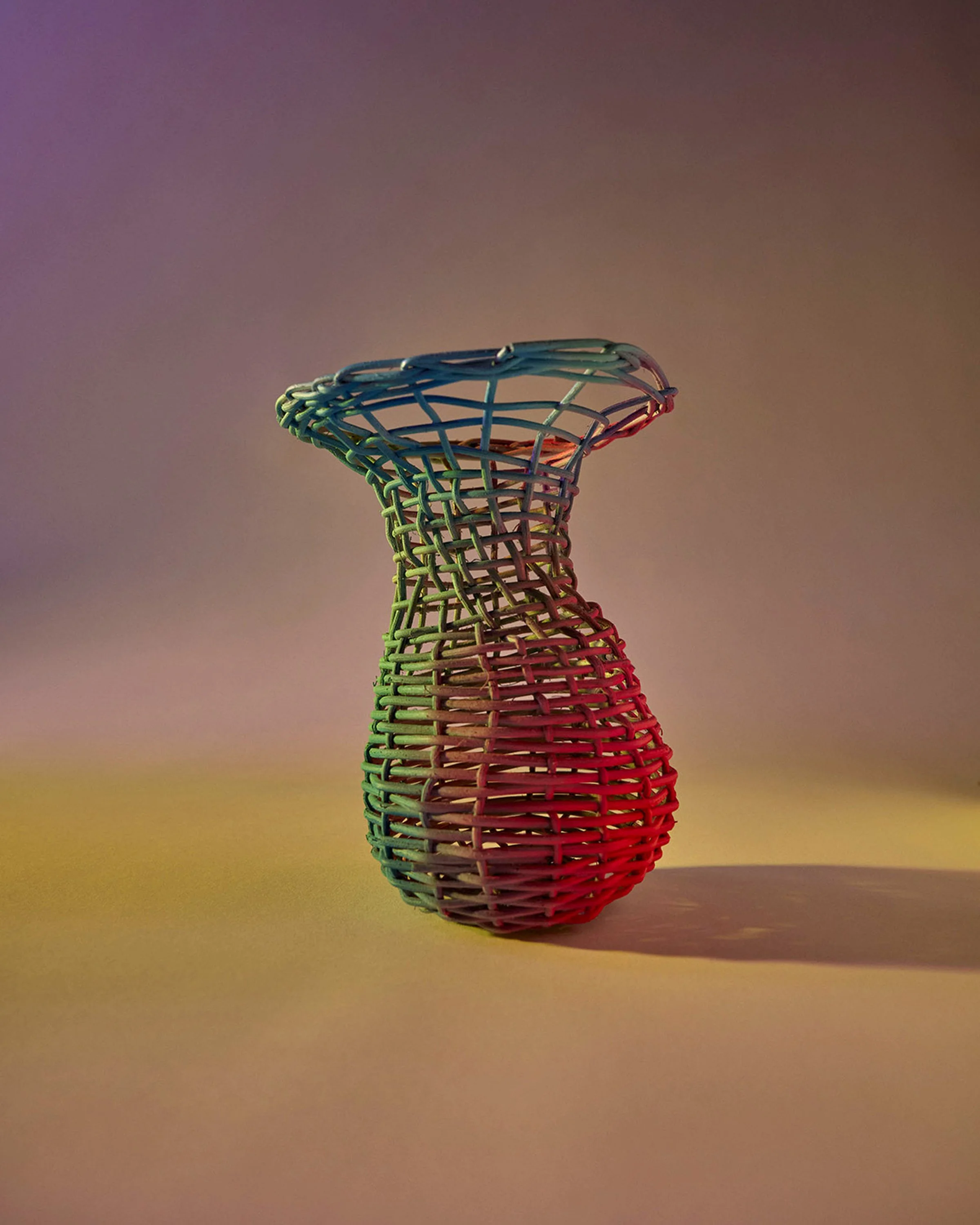 Domencia Agostino Leibowitz Fine Art 44.JPG