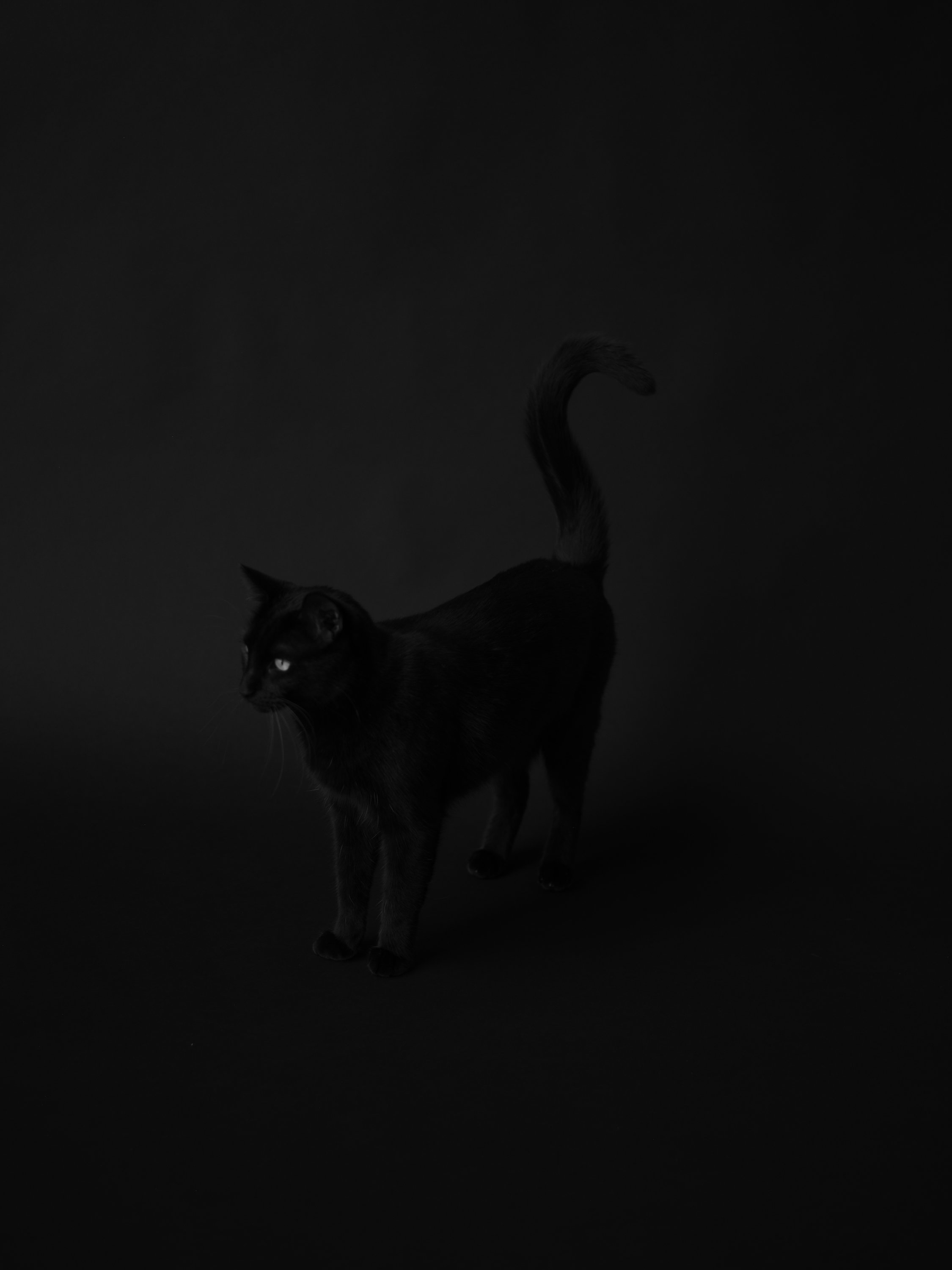 Margo Ducharme x Domenica Agostino Leibowitz 9.JPG