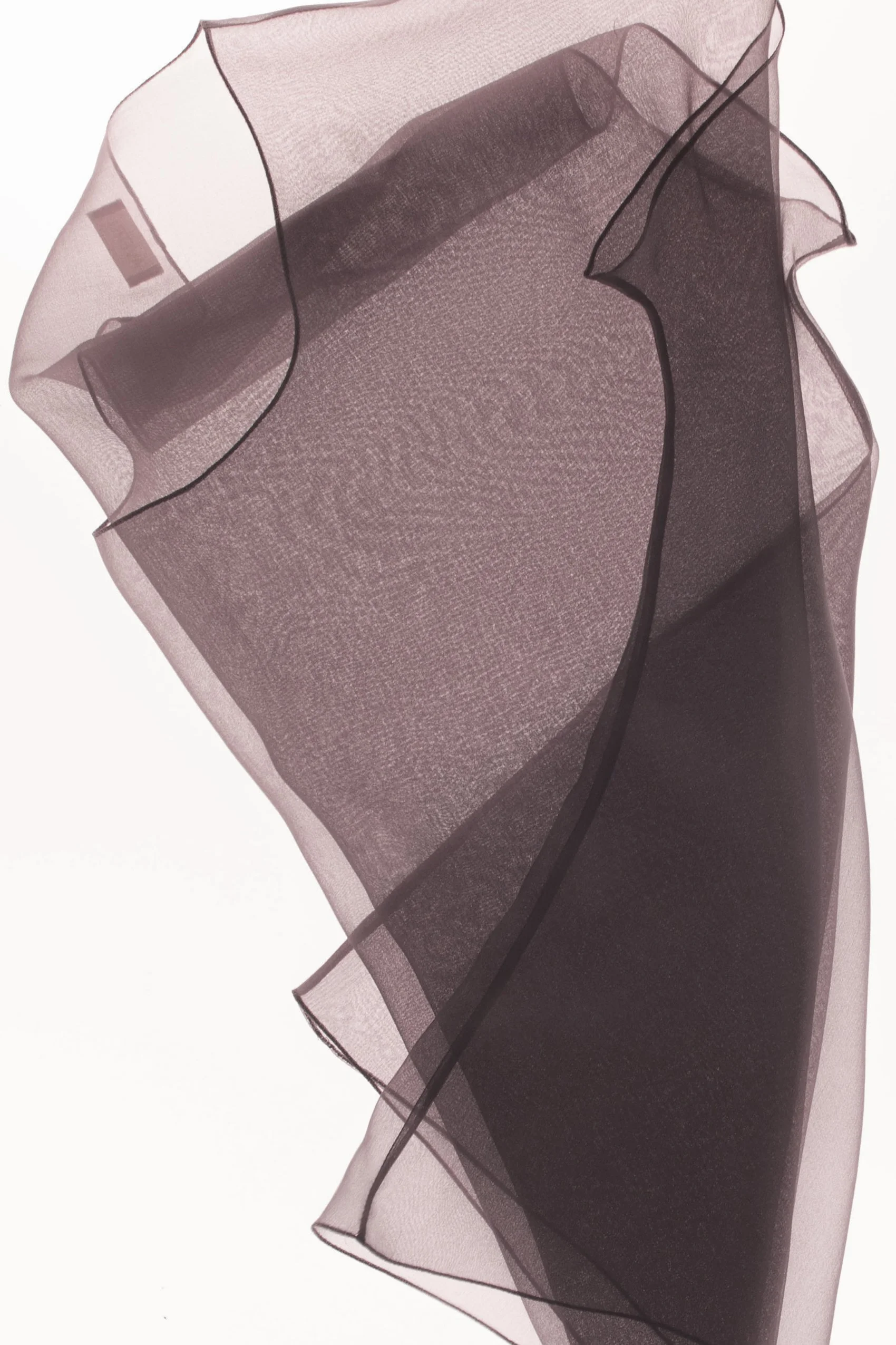 Domenica Agostino Leibowitz Averti 7.jpg