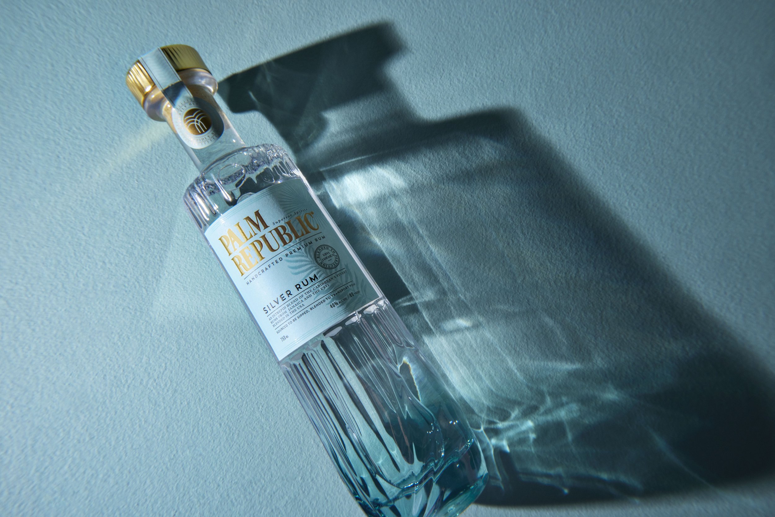 Domenica Agostino Leibowitz_Palm Republic_7.jpg