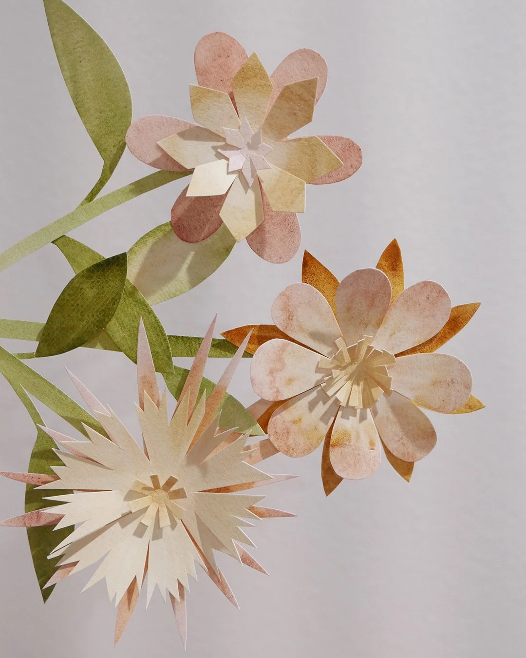 Domenica Agostino Leibowitz - Dogwood Dyer Paints - 1.jpg