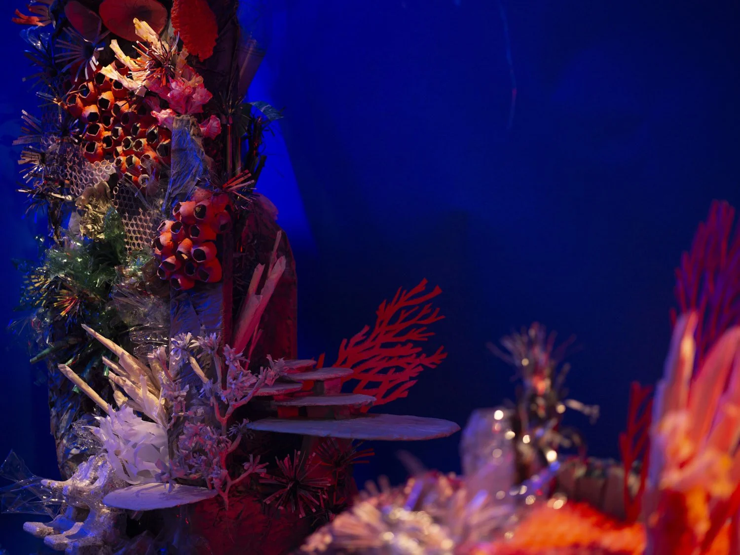 Domenica Agostino Leibowitz - Rothys 3.jpg