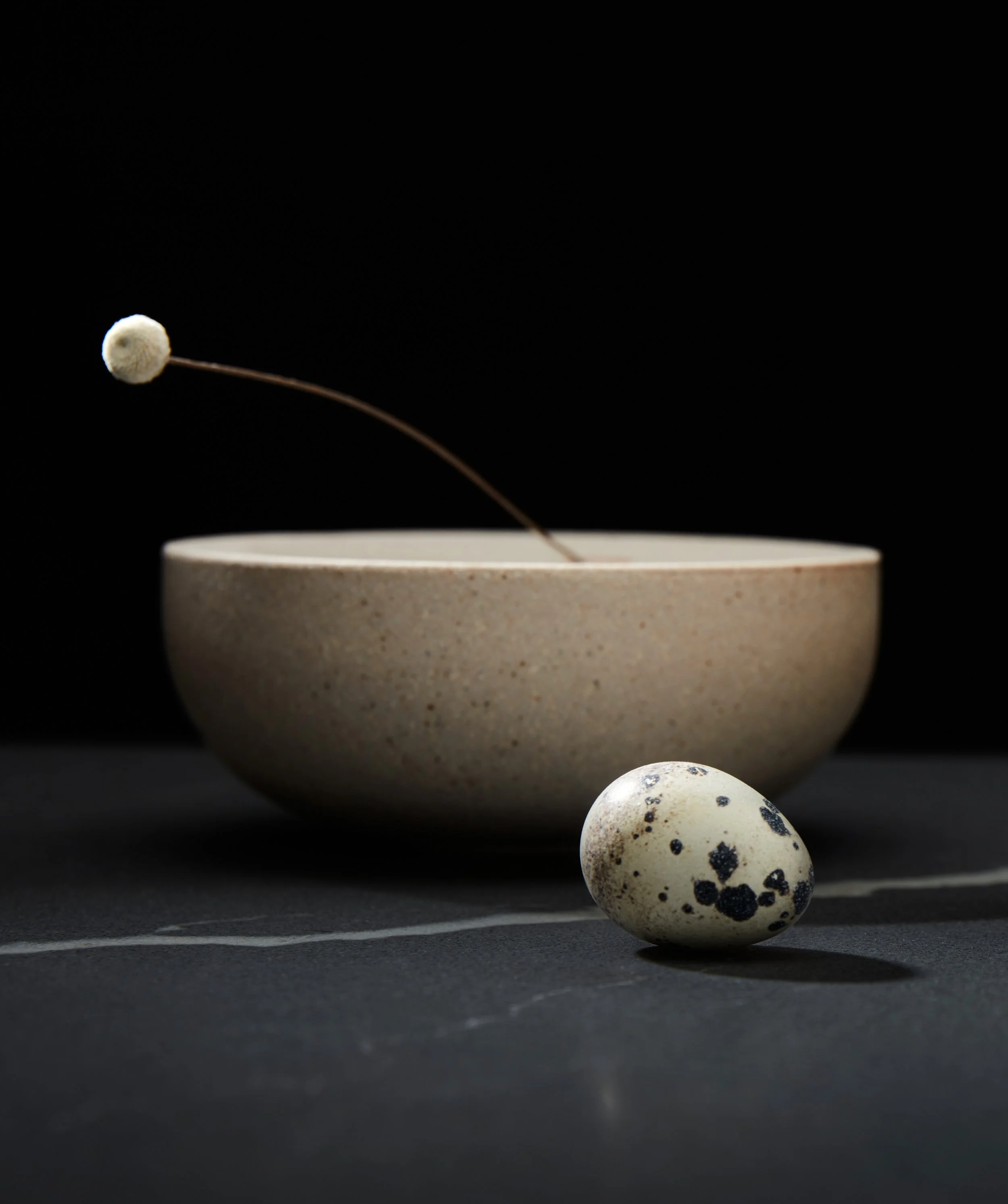 Domenica Agostino Leibowitz Still Life 30.JPG