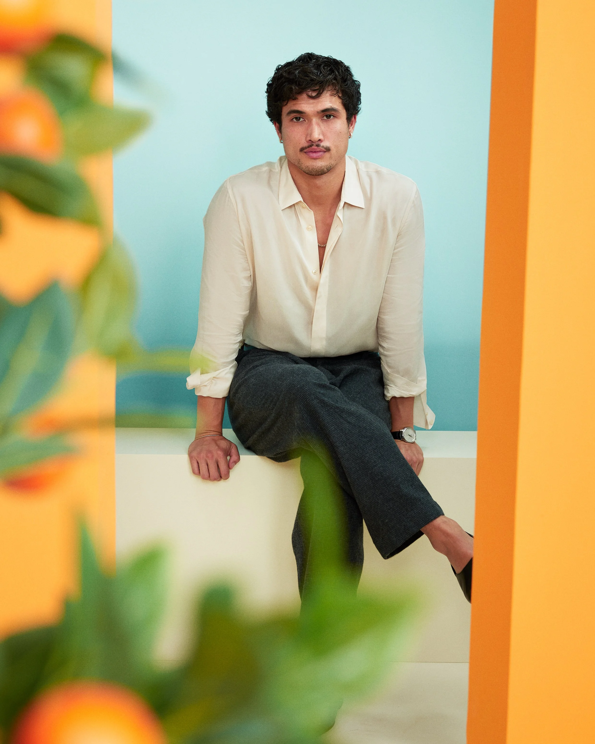 Veuve Clicquot - CHARLES MELTON.jpg