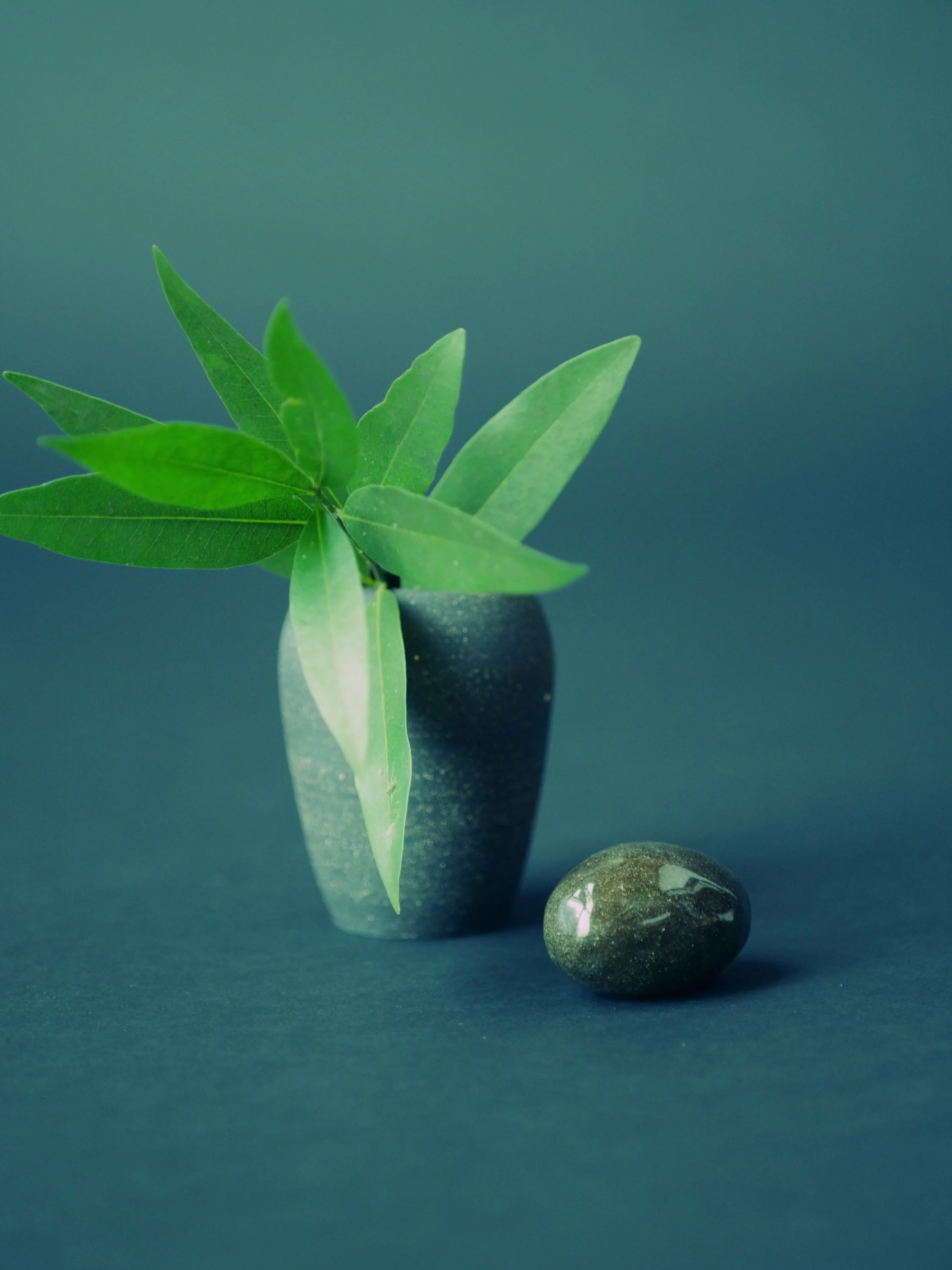 Domenica Agostino Leibowitz x Margo Ducharme Still Life Rock.JPG