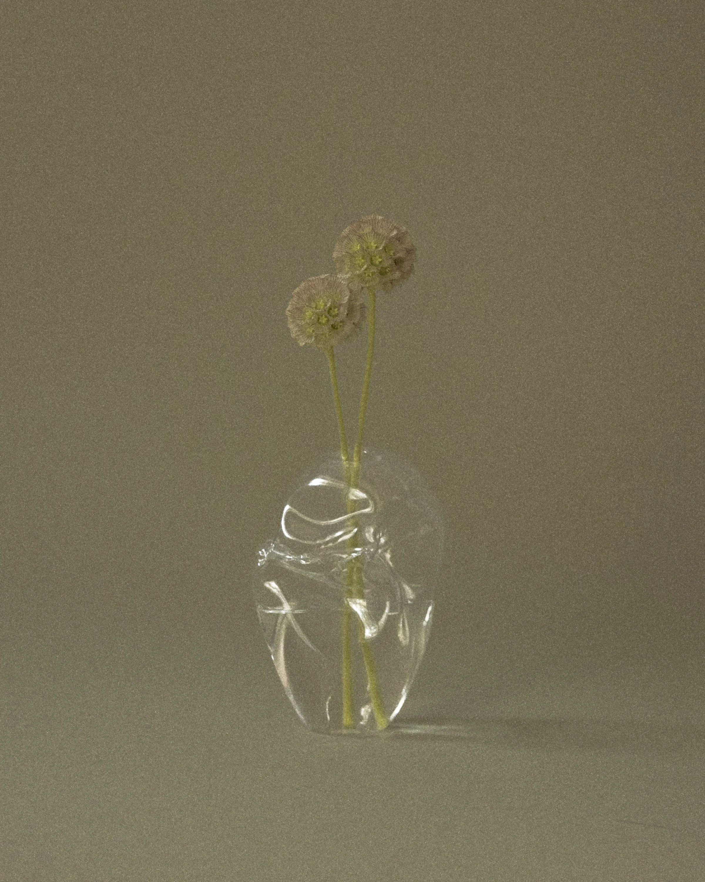 Domenica Agostino Leibowitz - Glass Objects & Florals 5.JPG