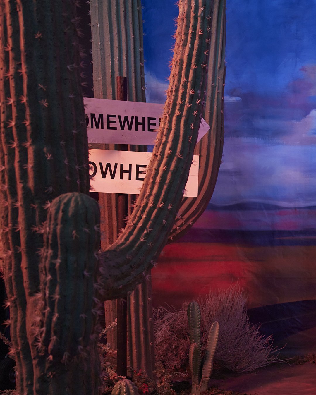 Domenica Agostino Leibowitz - HBO Hacks - Somewhere Nowhere.jpg