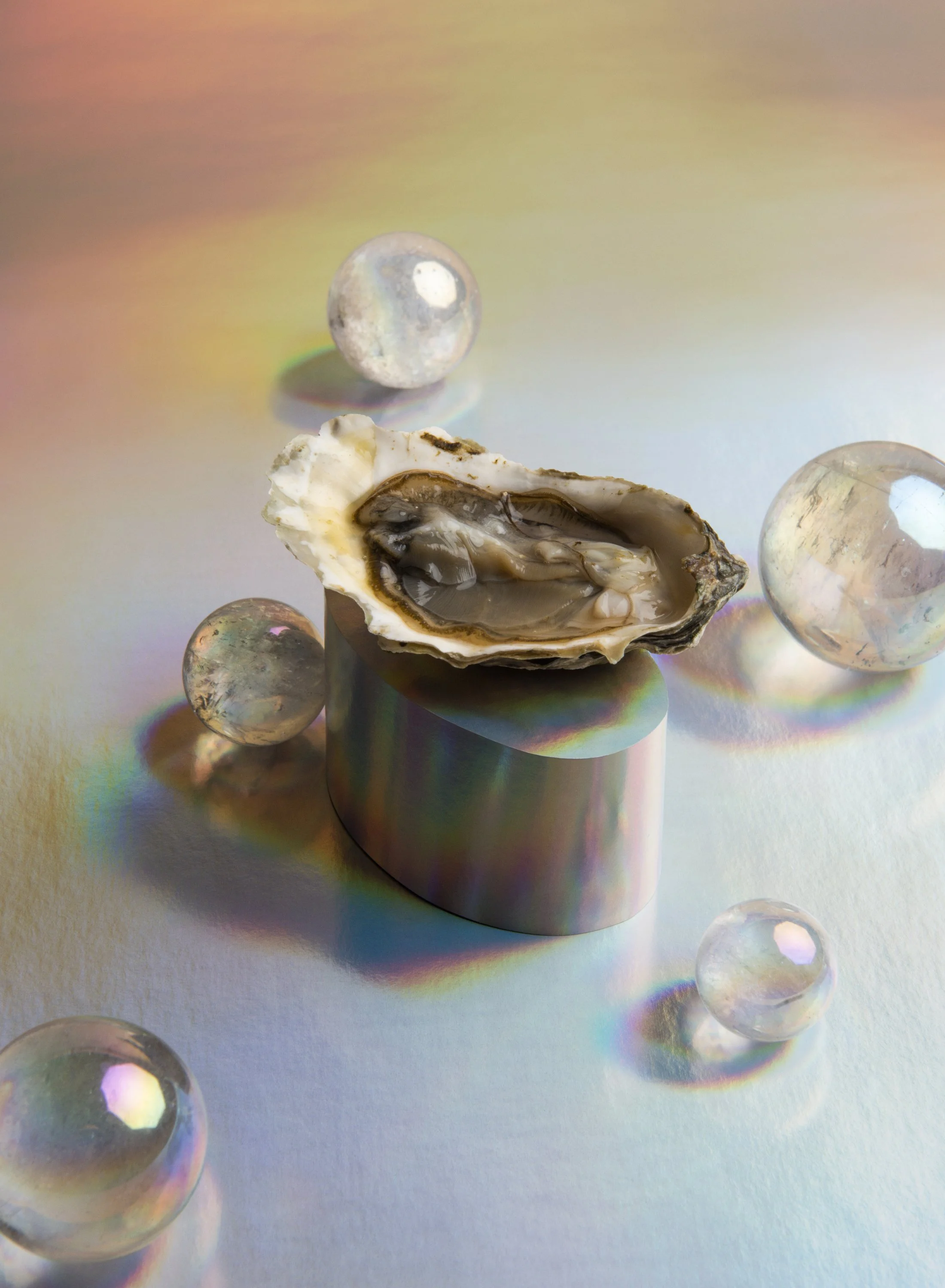 Domenica Agostion Leibowitz x Liz Barclay Oyster 2.JPG