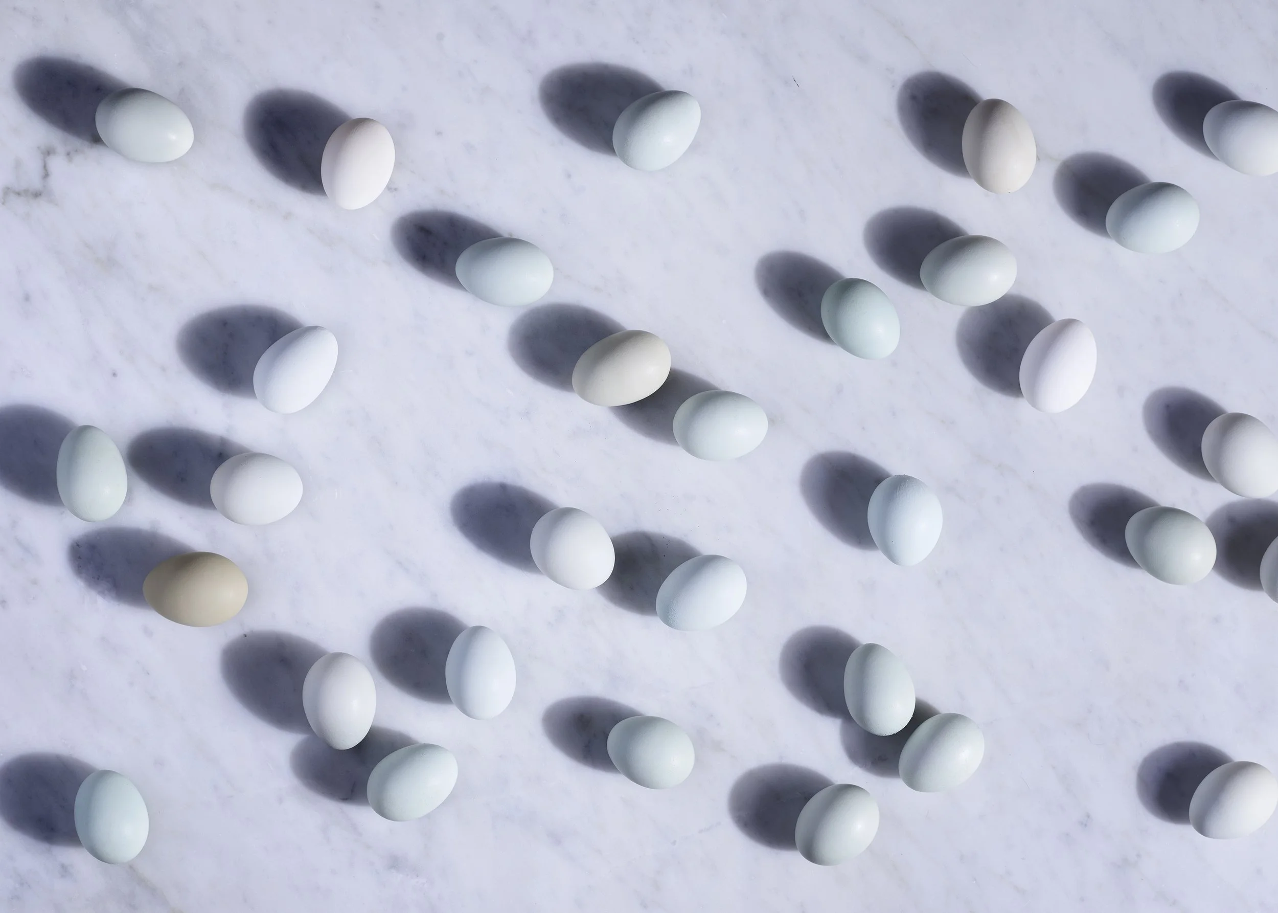 Domenica Agostino Leibowitz Still Life 34.JPG