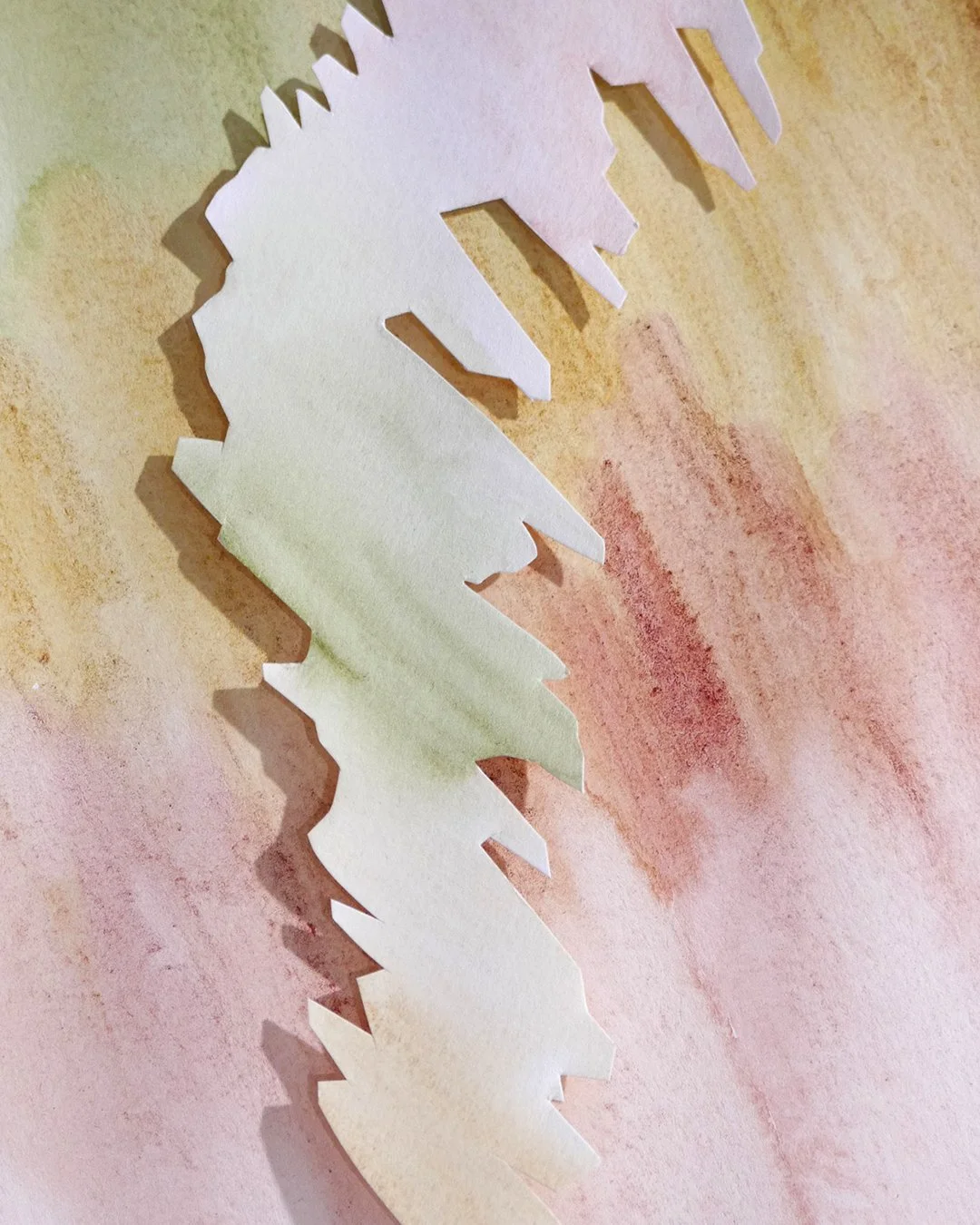 Domenica Agostino Leibowitz - Dogwood Dyer Paints - 2.jpg