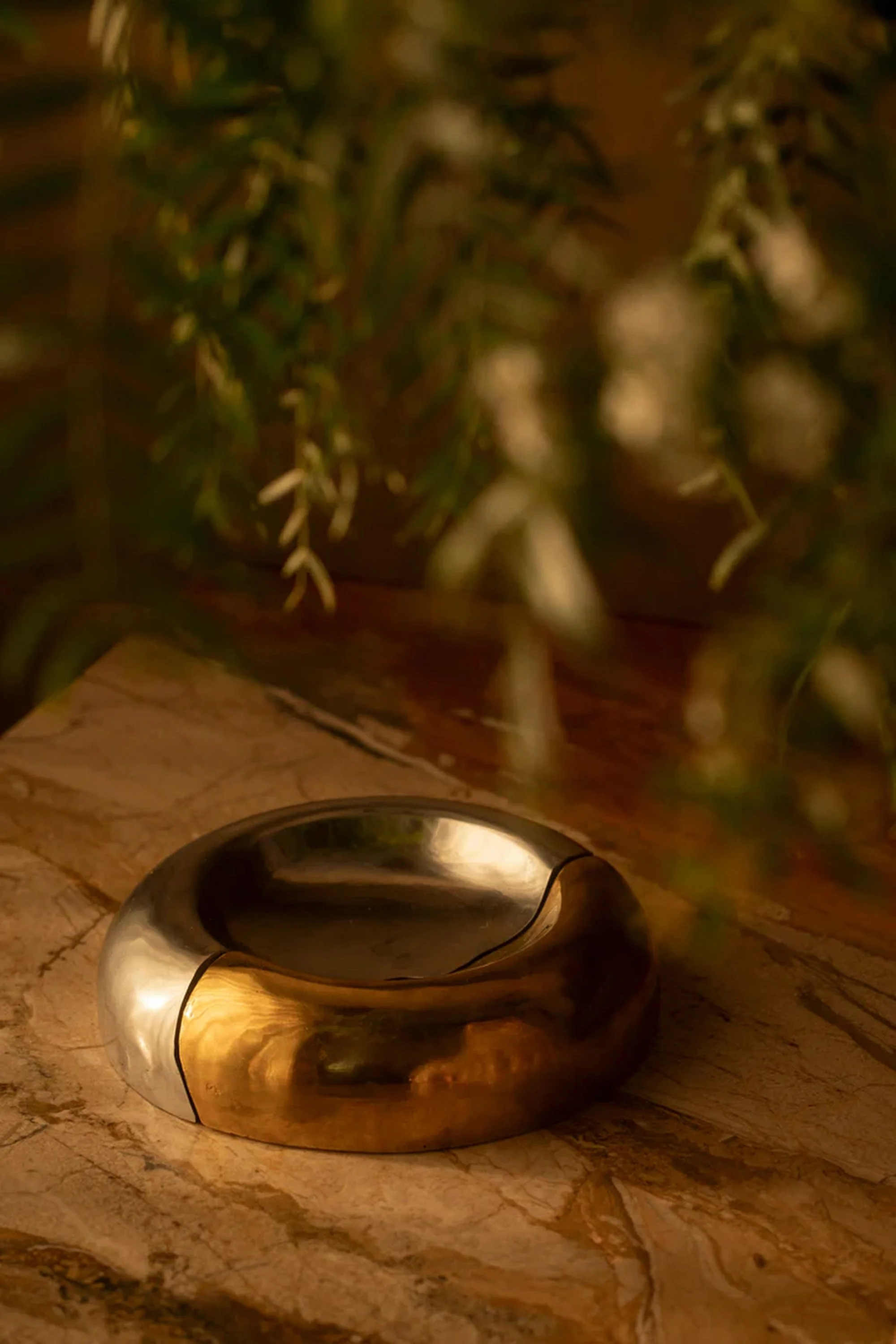 Tania Sarin x Anastasio Home 15.JPG