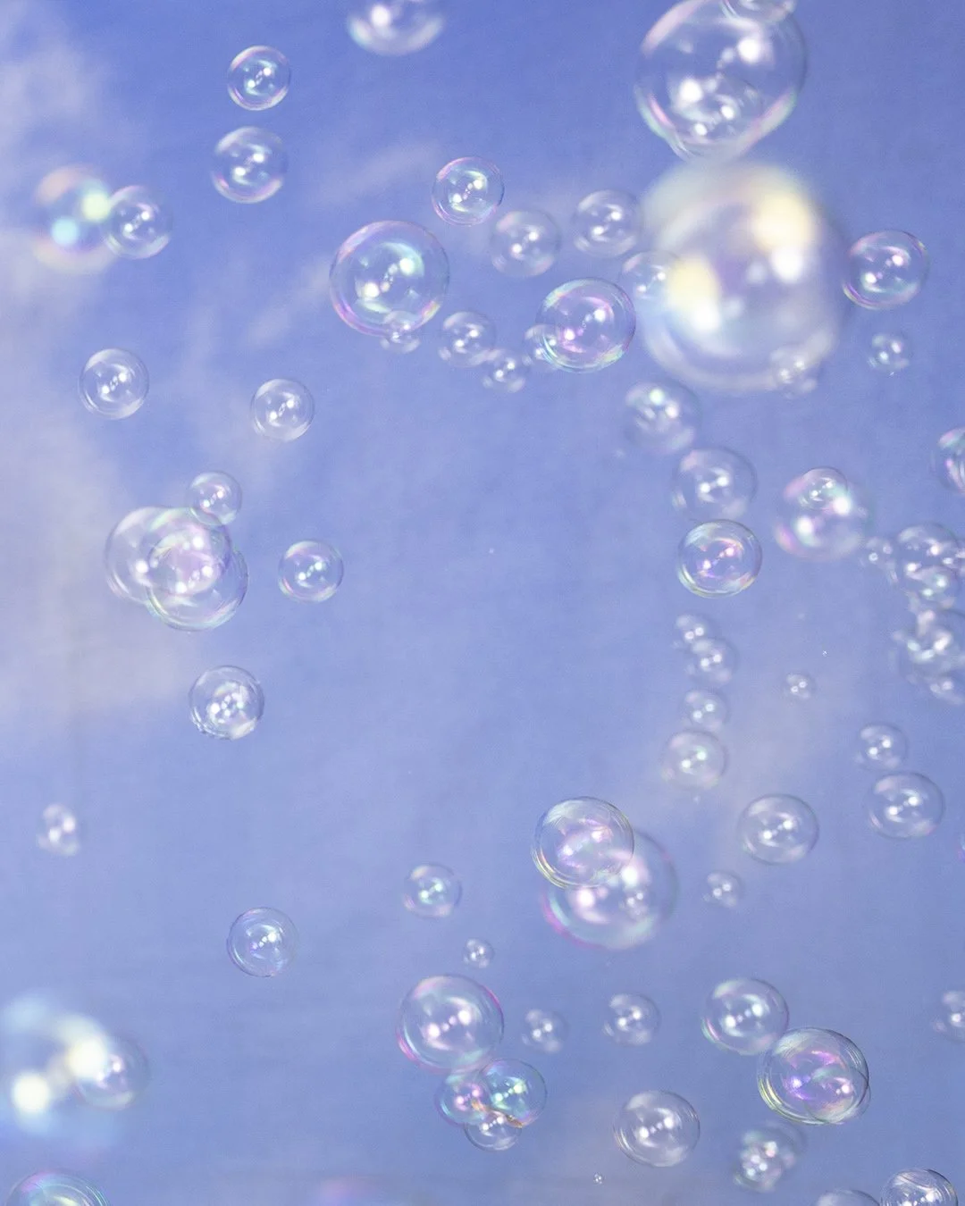 Domencia Agostino Leibowitz Bubbles 2.jpg