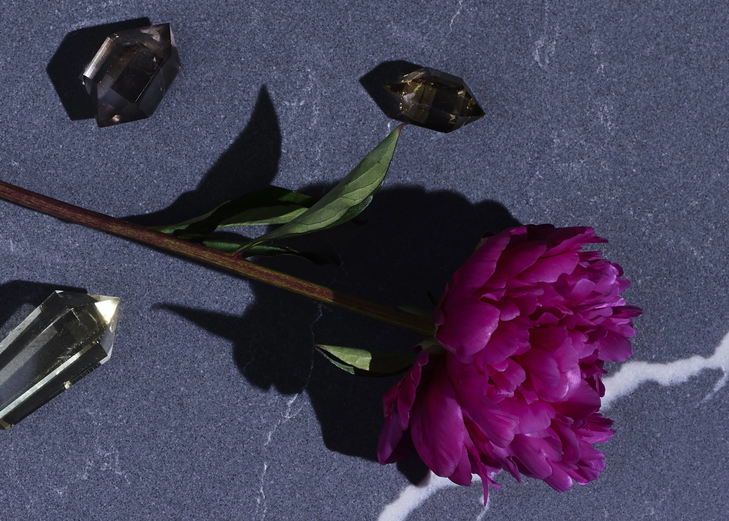 Domenica Agostino Leibowitz Still Life 10.jpg