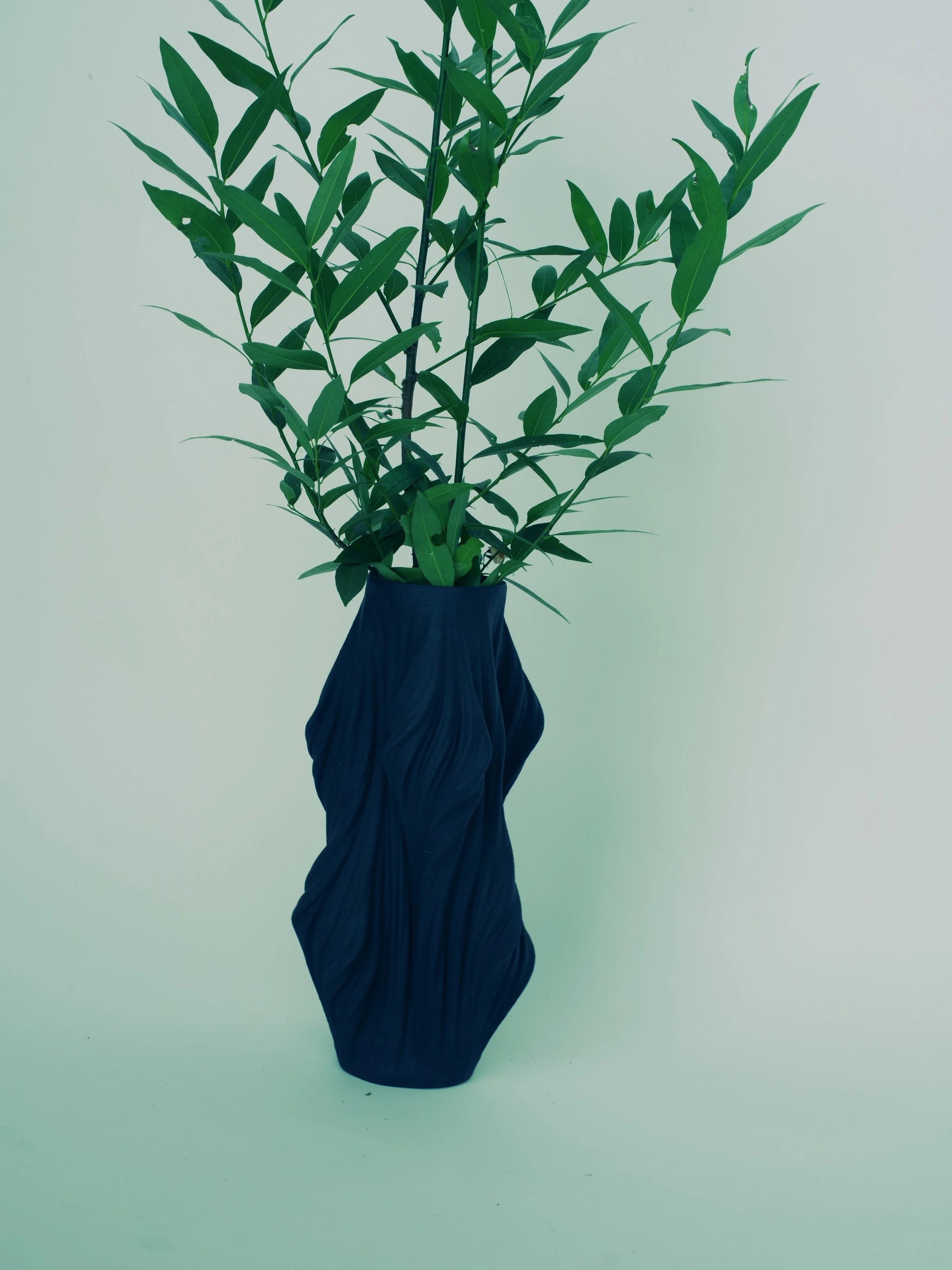 ceramics margo 1 IMGP5724.JPG