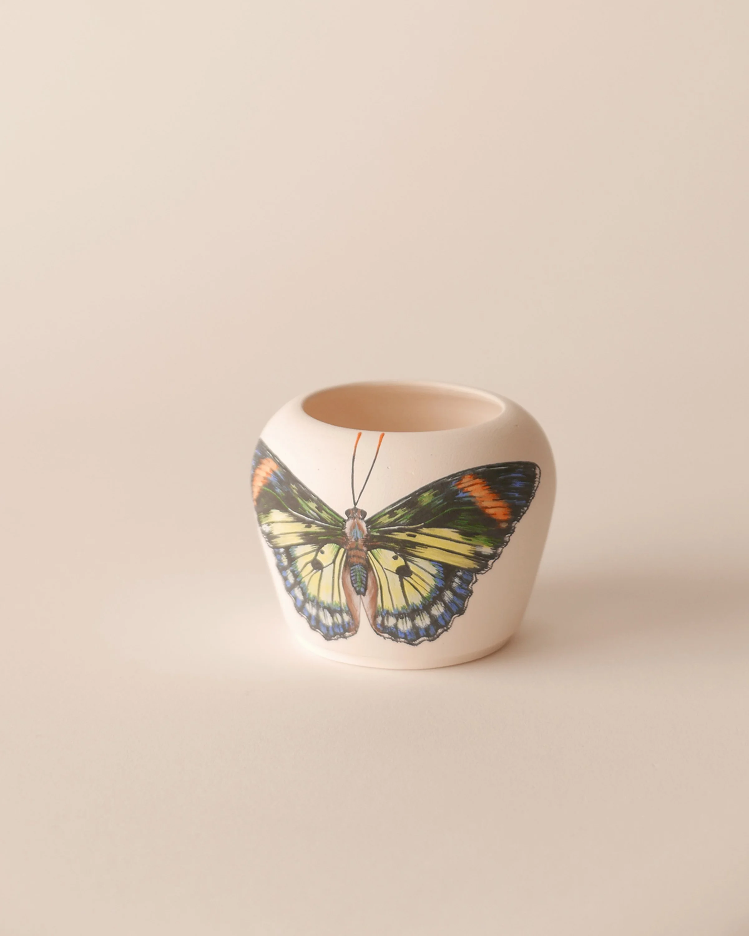 Domenica Agostino Leibowitz Fine Art Butterfly Ceramics.JPG