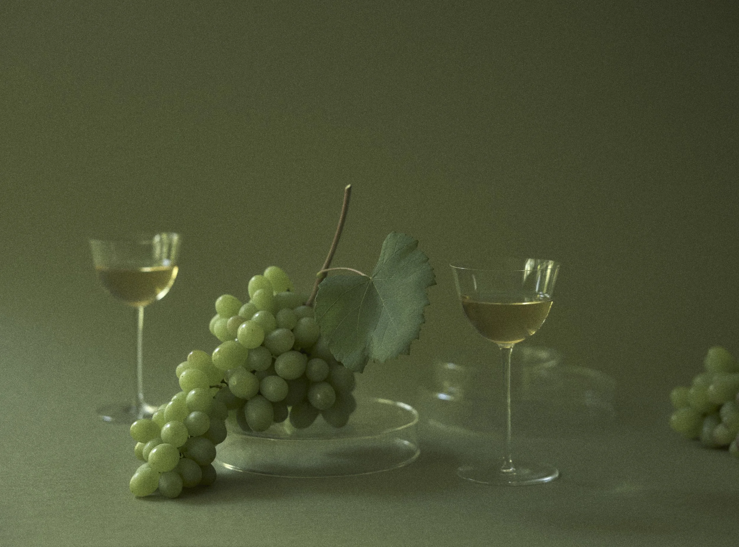 Domencia Agostino Leibowitz - Grapes 2.JPG