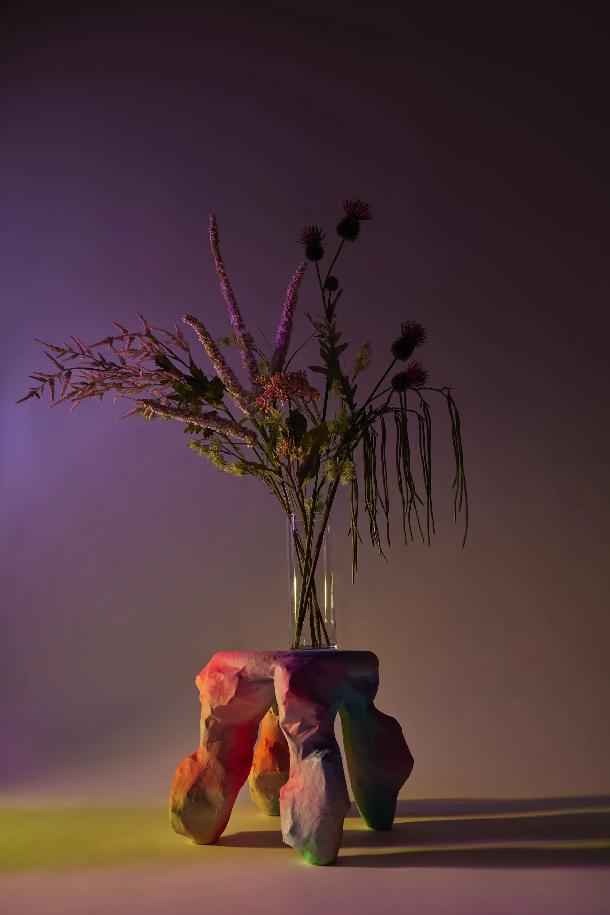 Domencia Agostino Leibowitz Fine Art 12.jpg