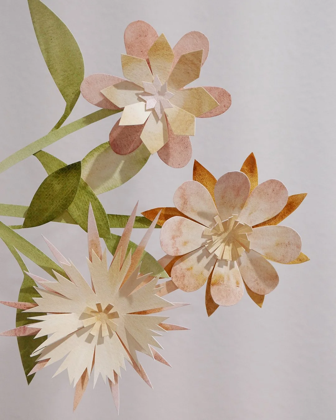 Domenica Agostino Leibowitz - Dogwood Dyer Paints - 1.jpg