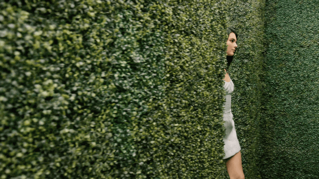 Veuve Clicquot - KENDALL JENNER.gif