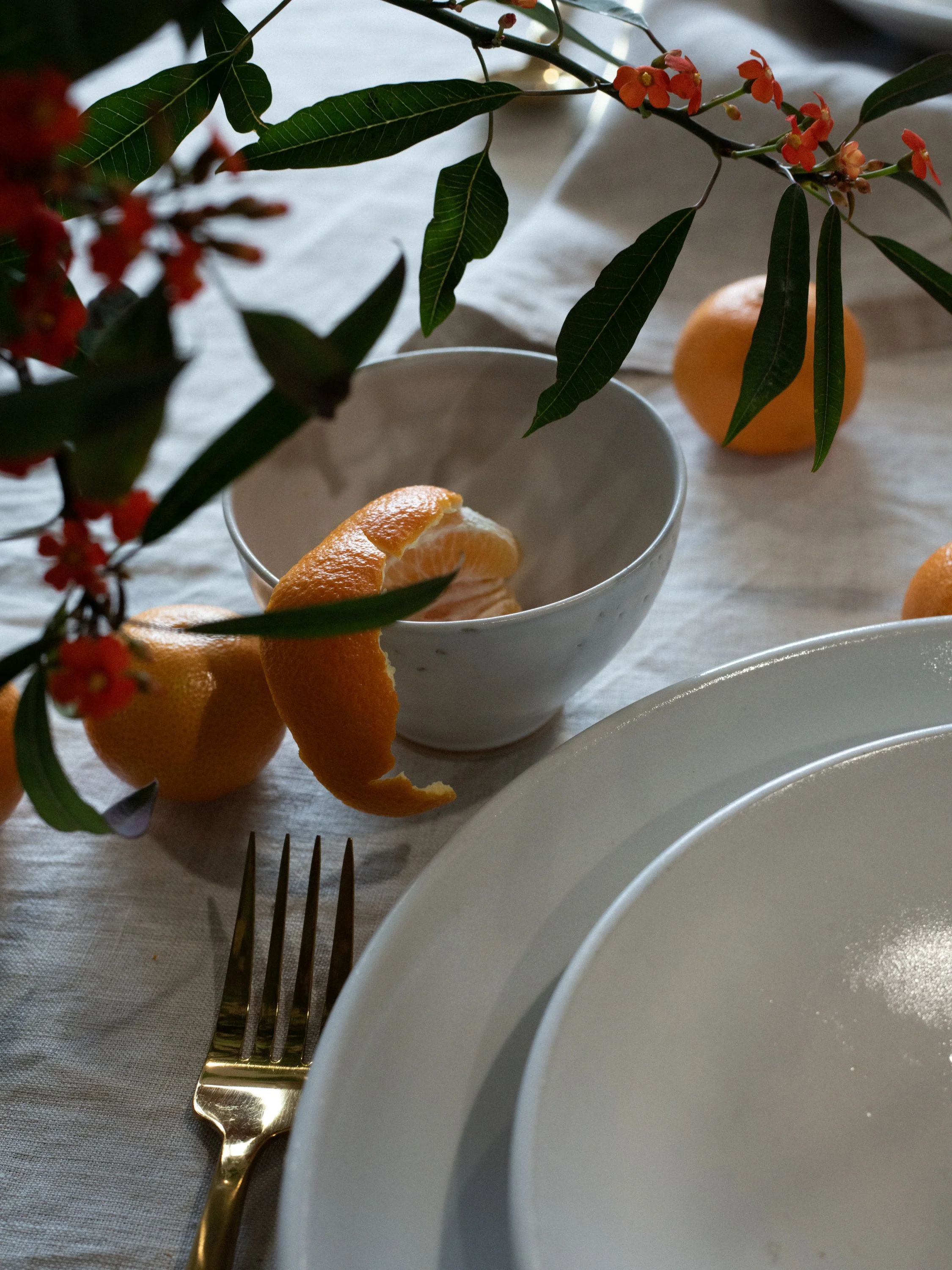 Domenica x Margo Ducharme Ellery Stoneware 2.JPG