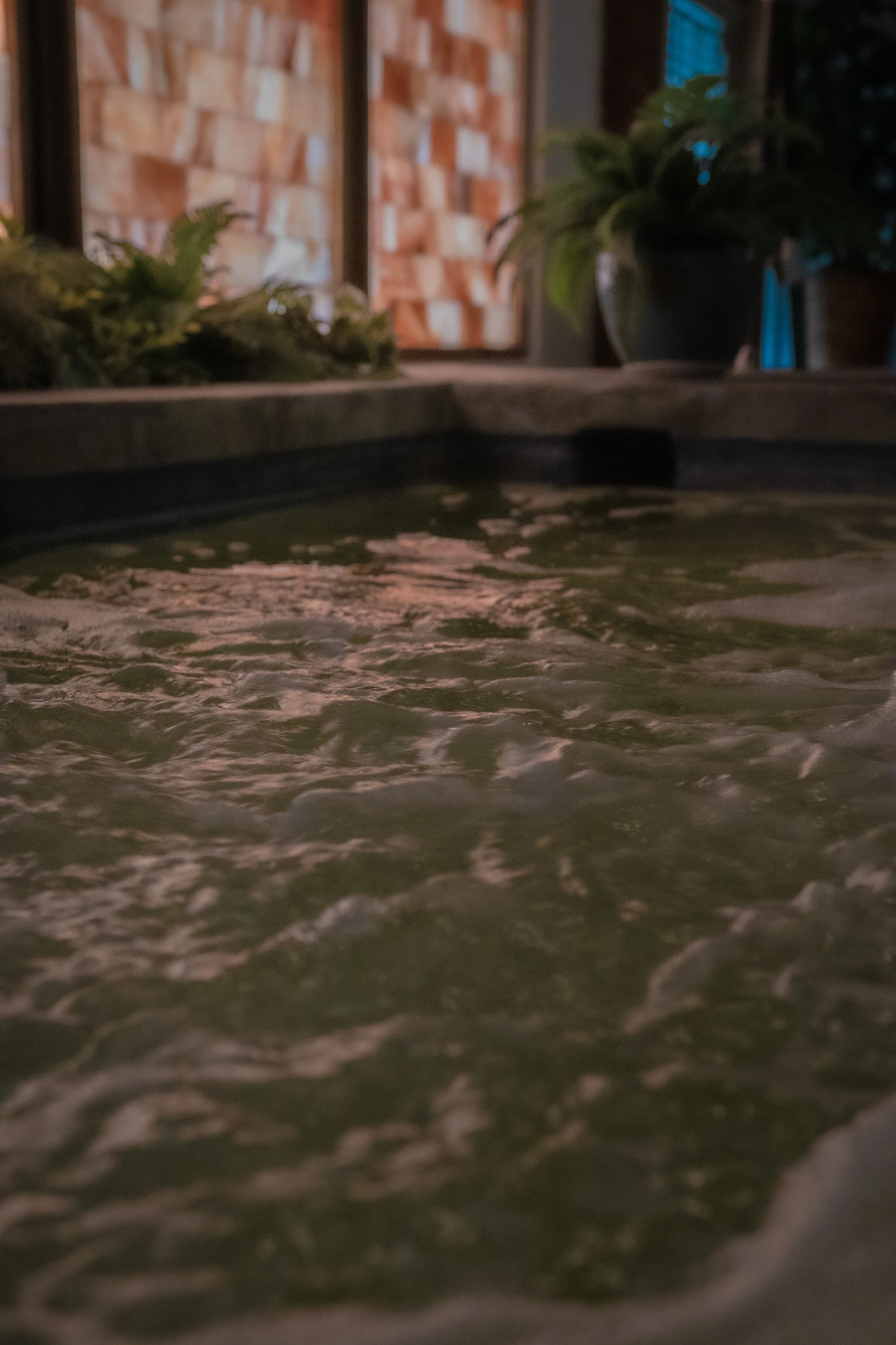 Close-up of a water feature or hot tub with water ripples, and potted plants with green leaves in the background near a brick wall and window.