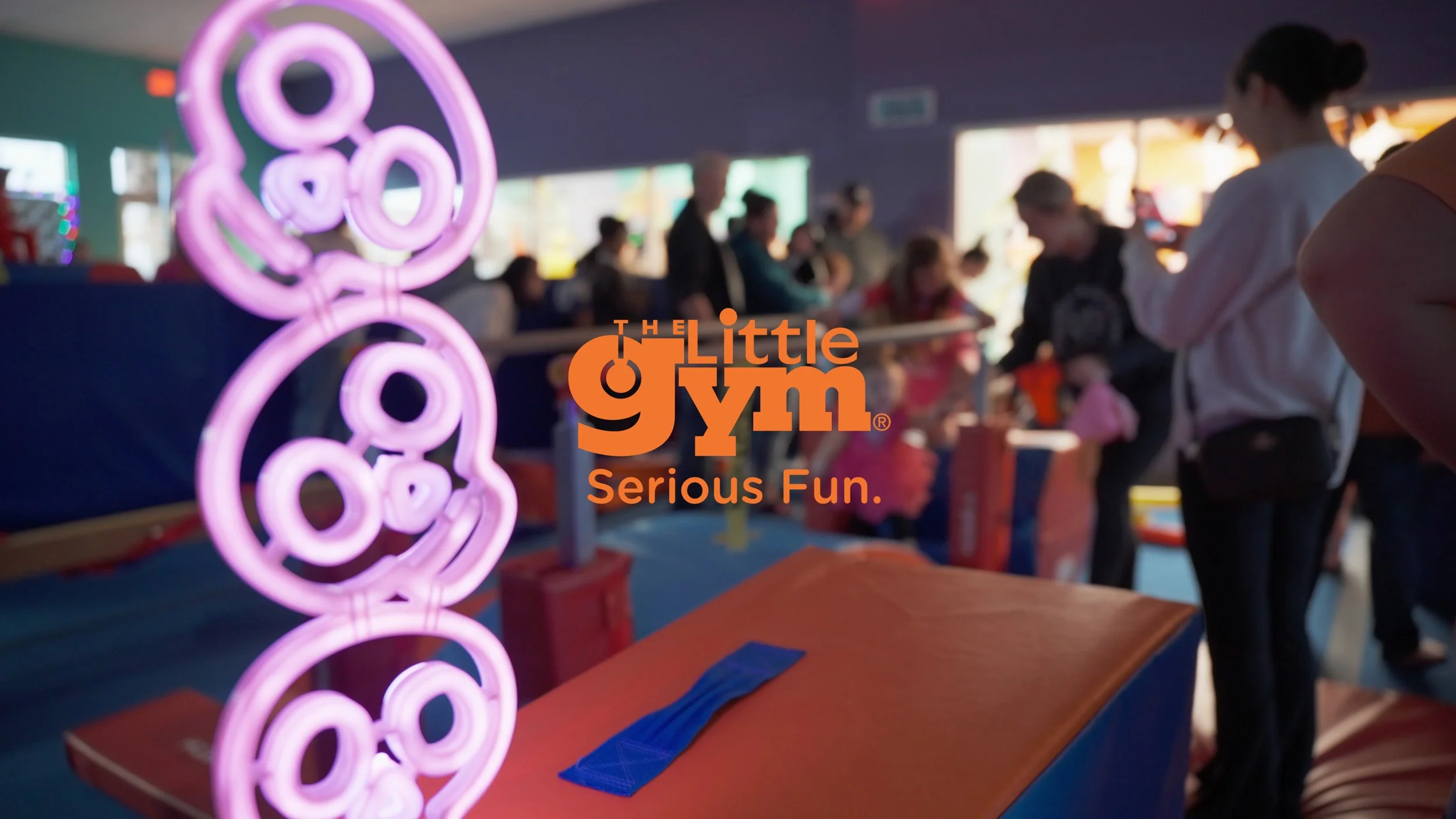 The Little Gym Logo