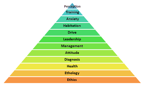 Color-coded pyramid chart illustrating levels from ethics and ethics at the base to perception at the top, with categories including ethics, etiology, health, diagnosis, attitude, management, leadership, drive, habitation, anxiety, training, perception.