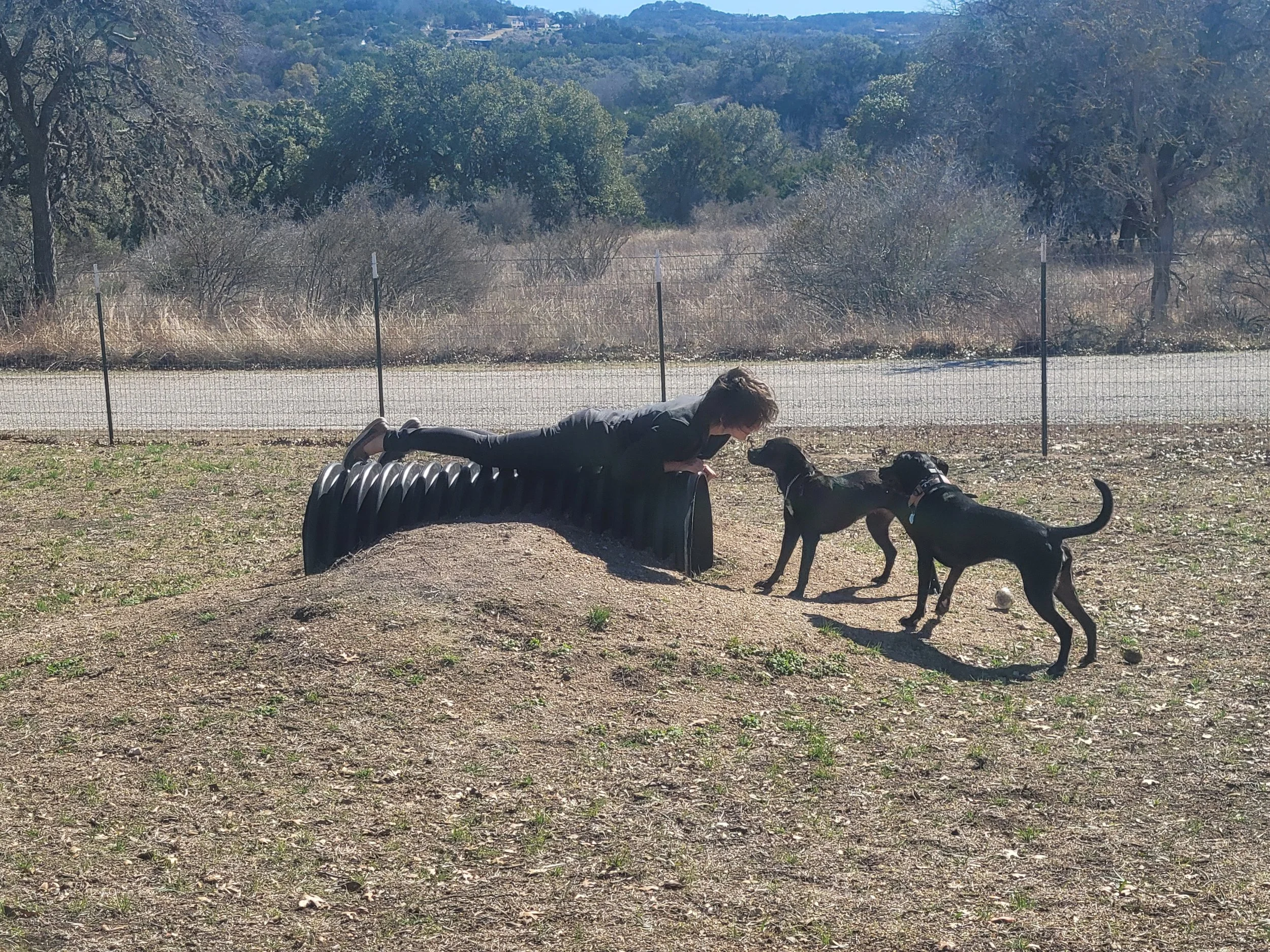 A person lying on a black, curved obstacle in a park, face-to-face with two black dogs, with a chain-link fence, trees, and a hill in the background on a sunny day.