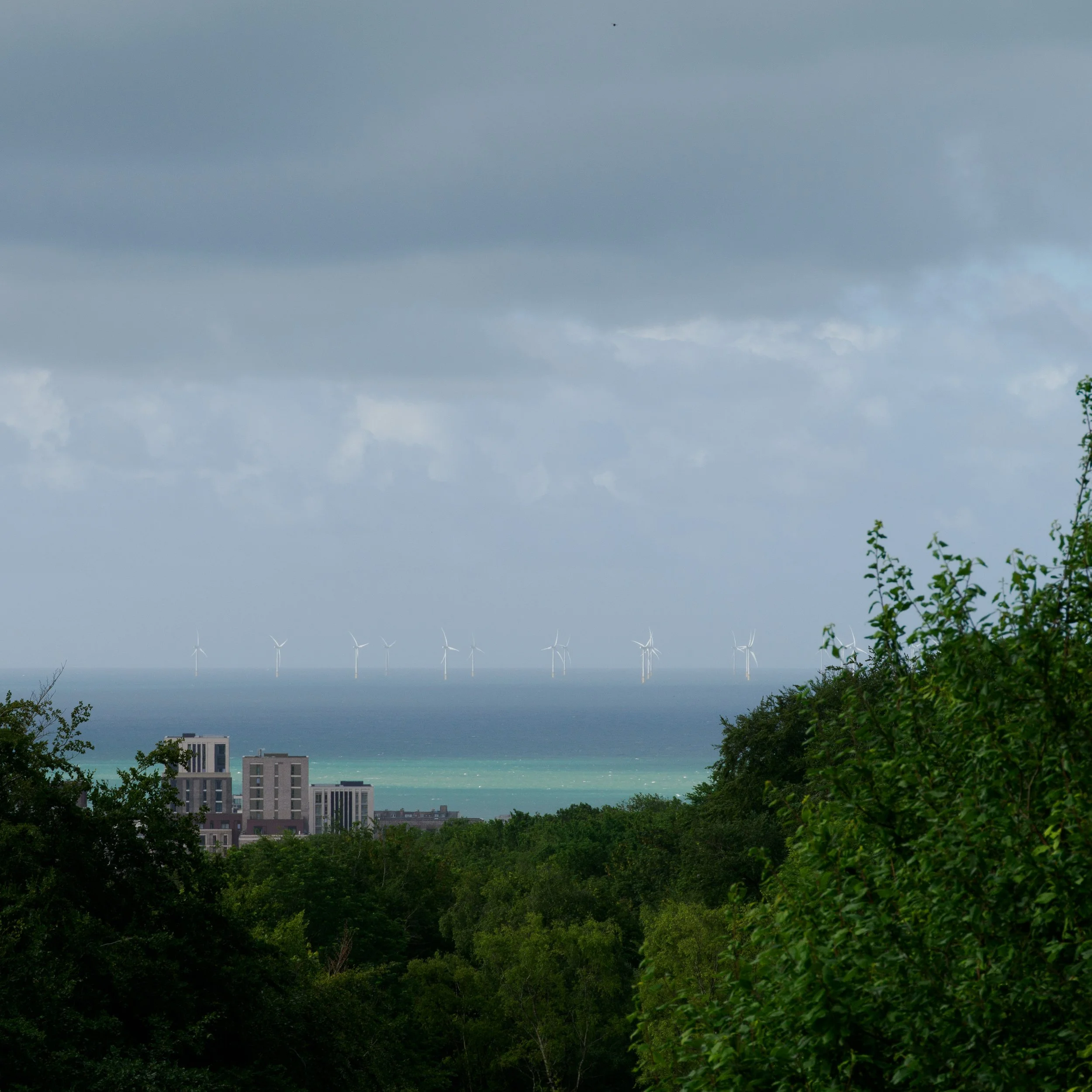 The Same View