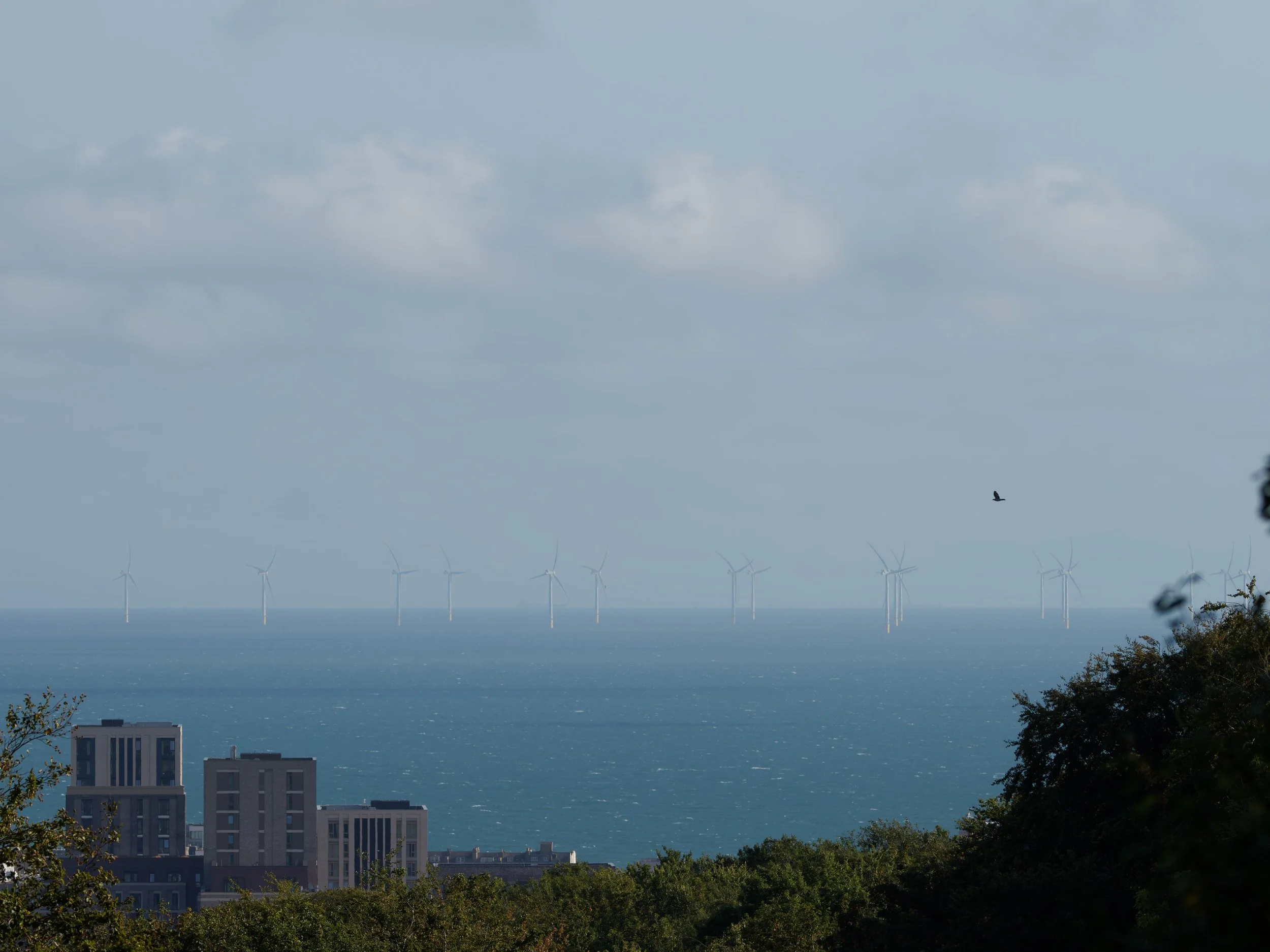 Same View 3 - 19 Aug 2026, 17:52