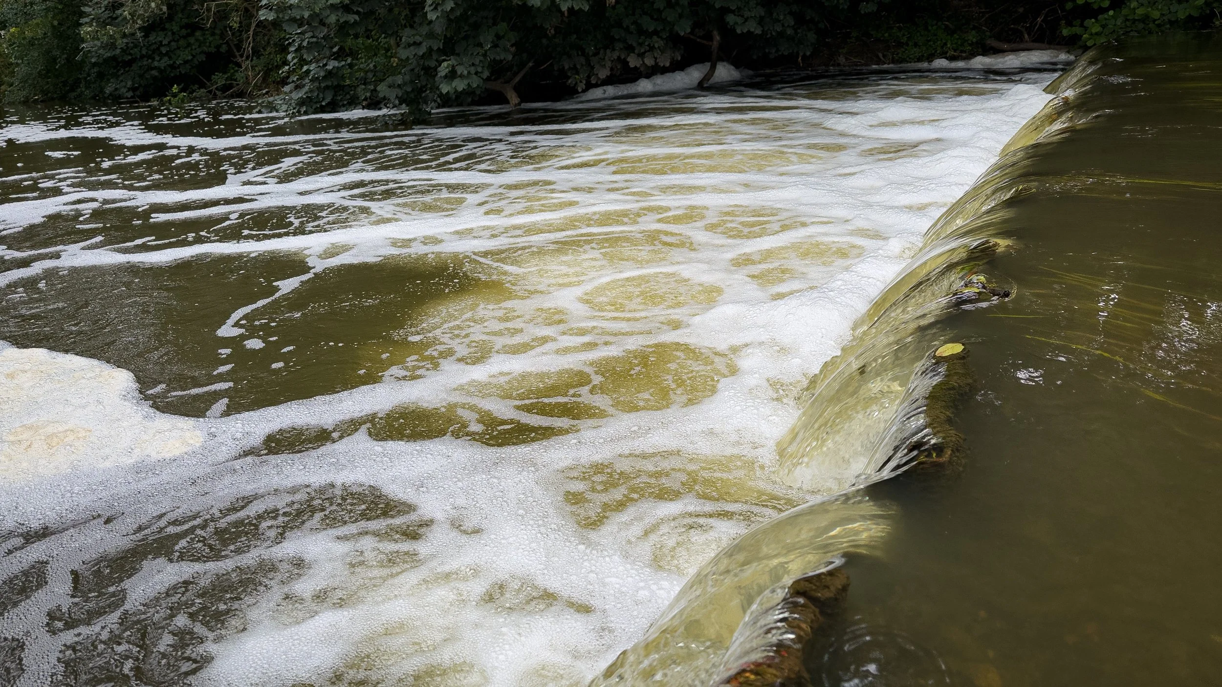 Flowing river with foam and bubbles near shoreline, surrounded by greenery.