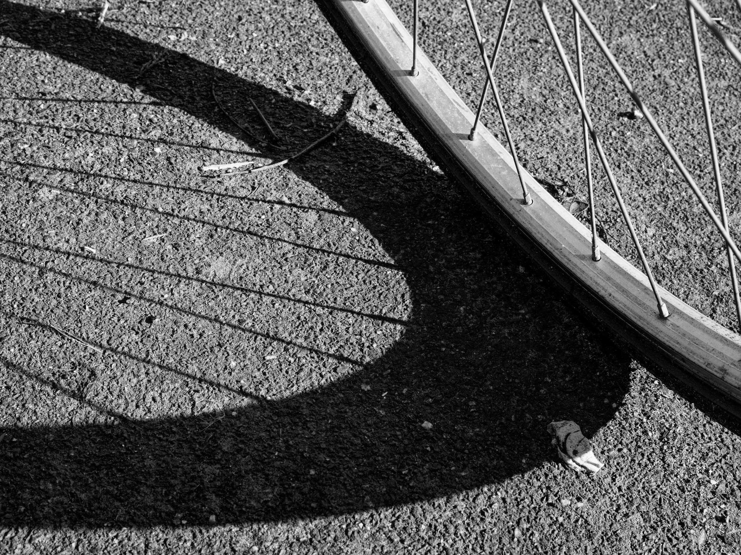 The shadow of a bicycle wheel stretches across sunlit pavement, forming a broad curved arc crossed by fine spoke shadows in monochrome.