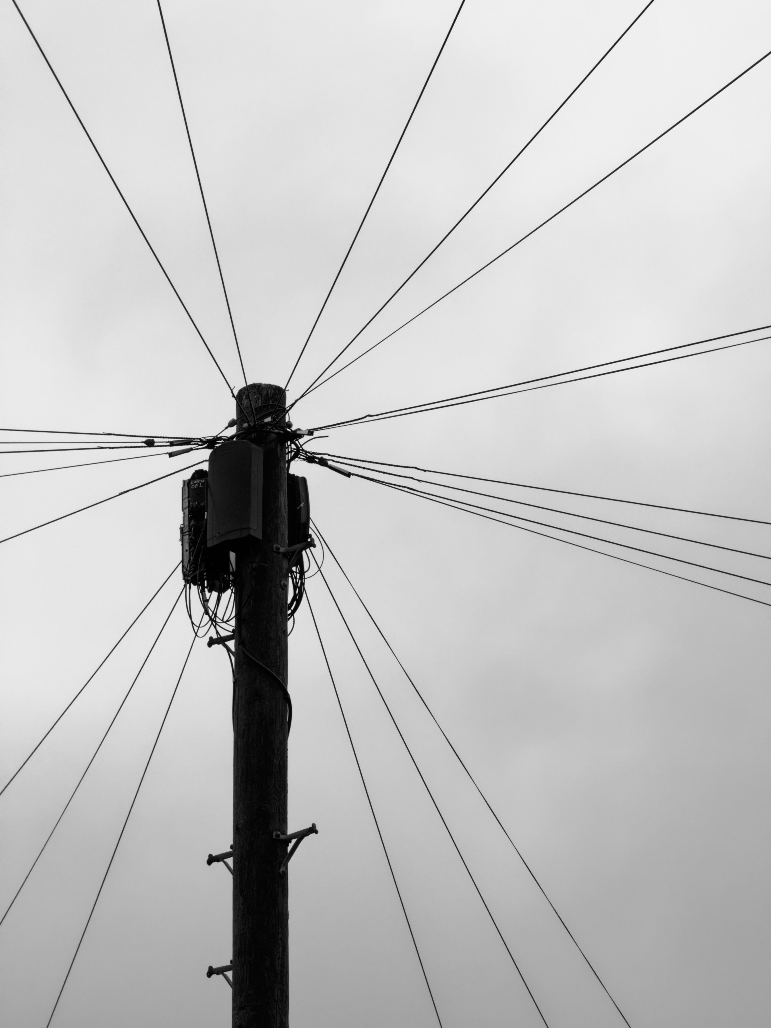 A wooden telegraph pole and radiating overhead wires photographed from below against a pale sky in monochrome.