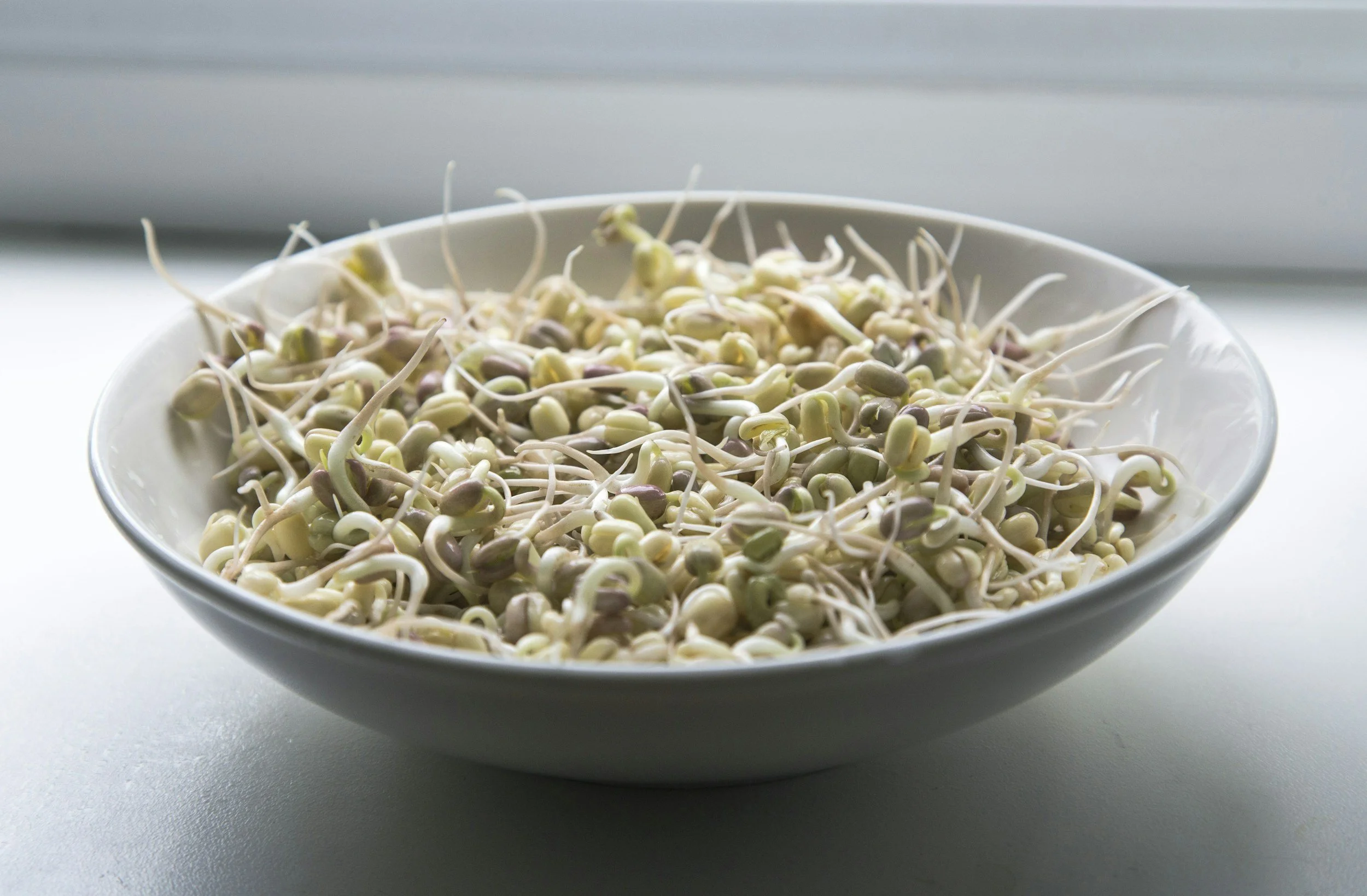 Sprouting growing guide