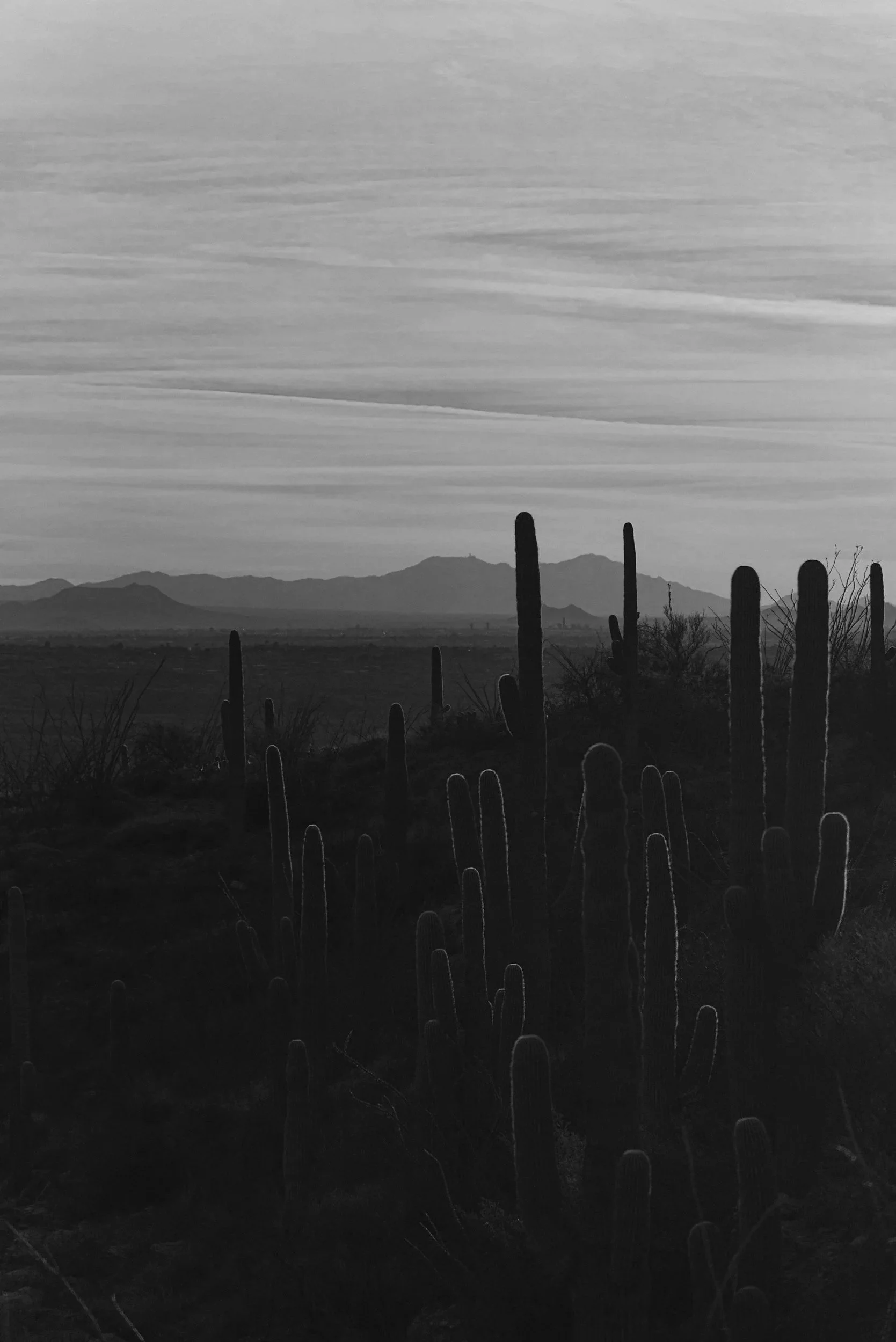 Black and white landscape photo of desert with saguaro cacti in foreground, mountains in background, and dramatic sky with layered clouds