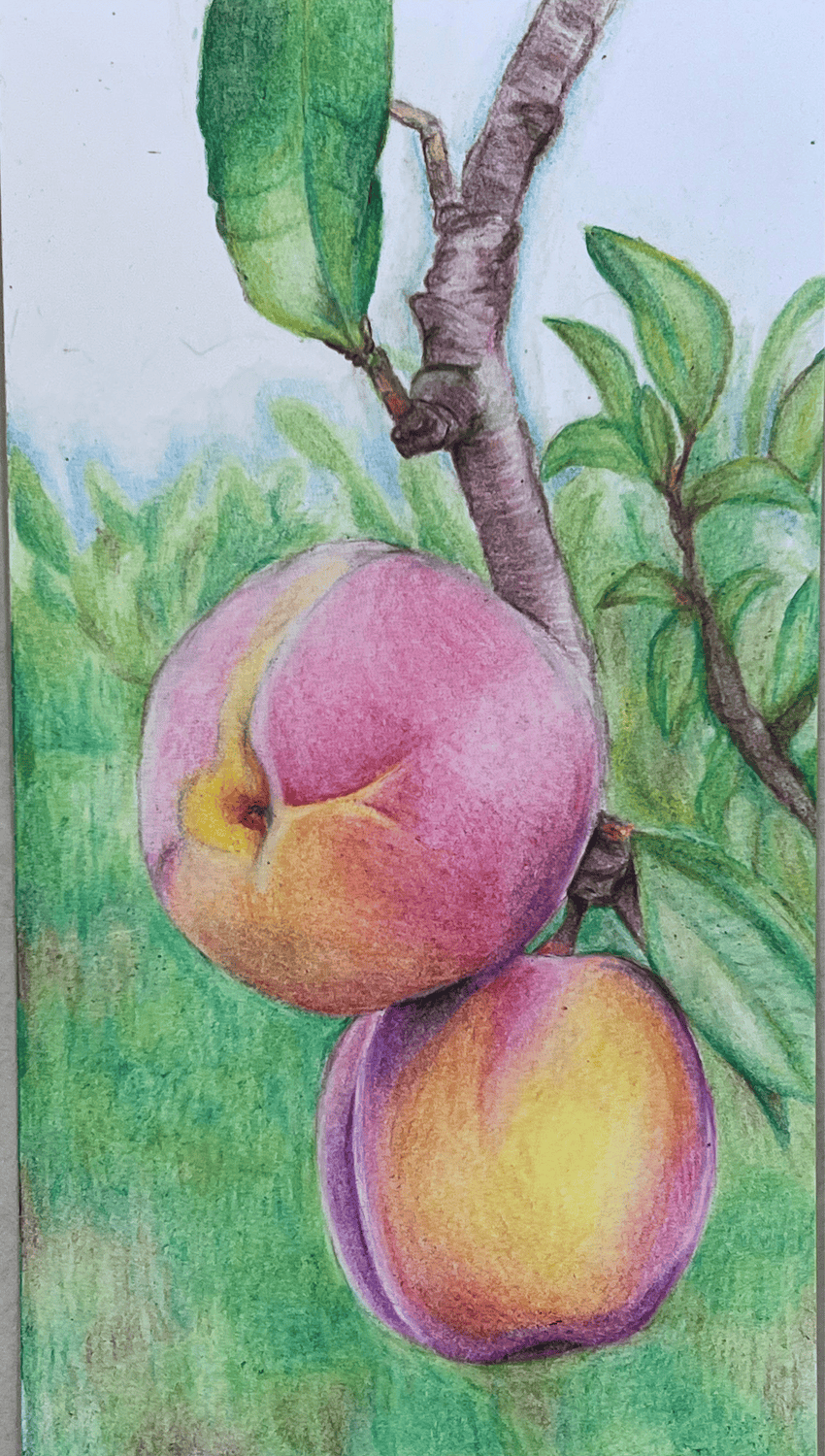Apple-ArtwithIshaRedmond.png