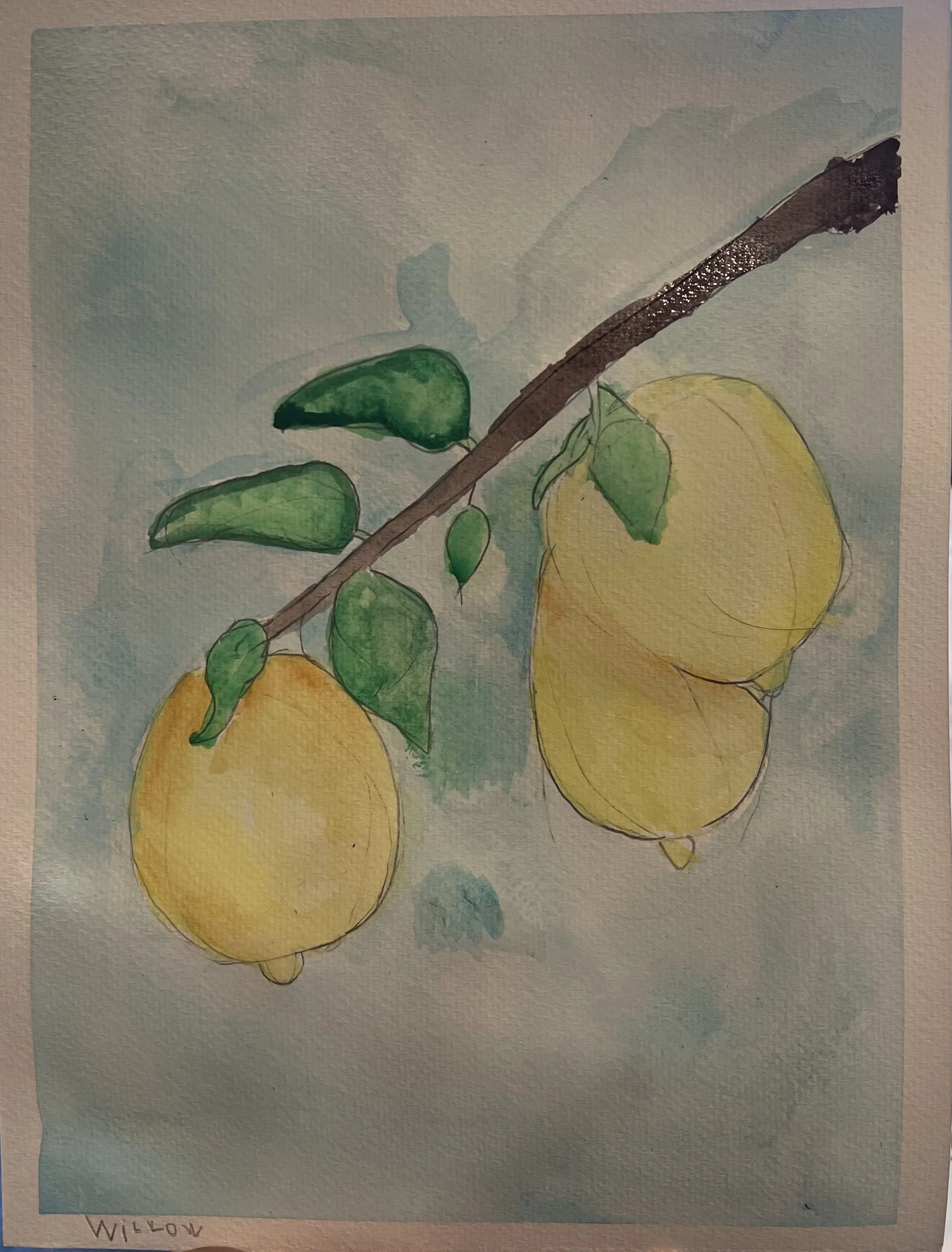 Lemon-ArtwithIsha.jpg